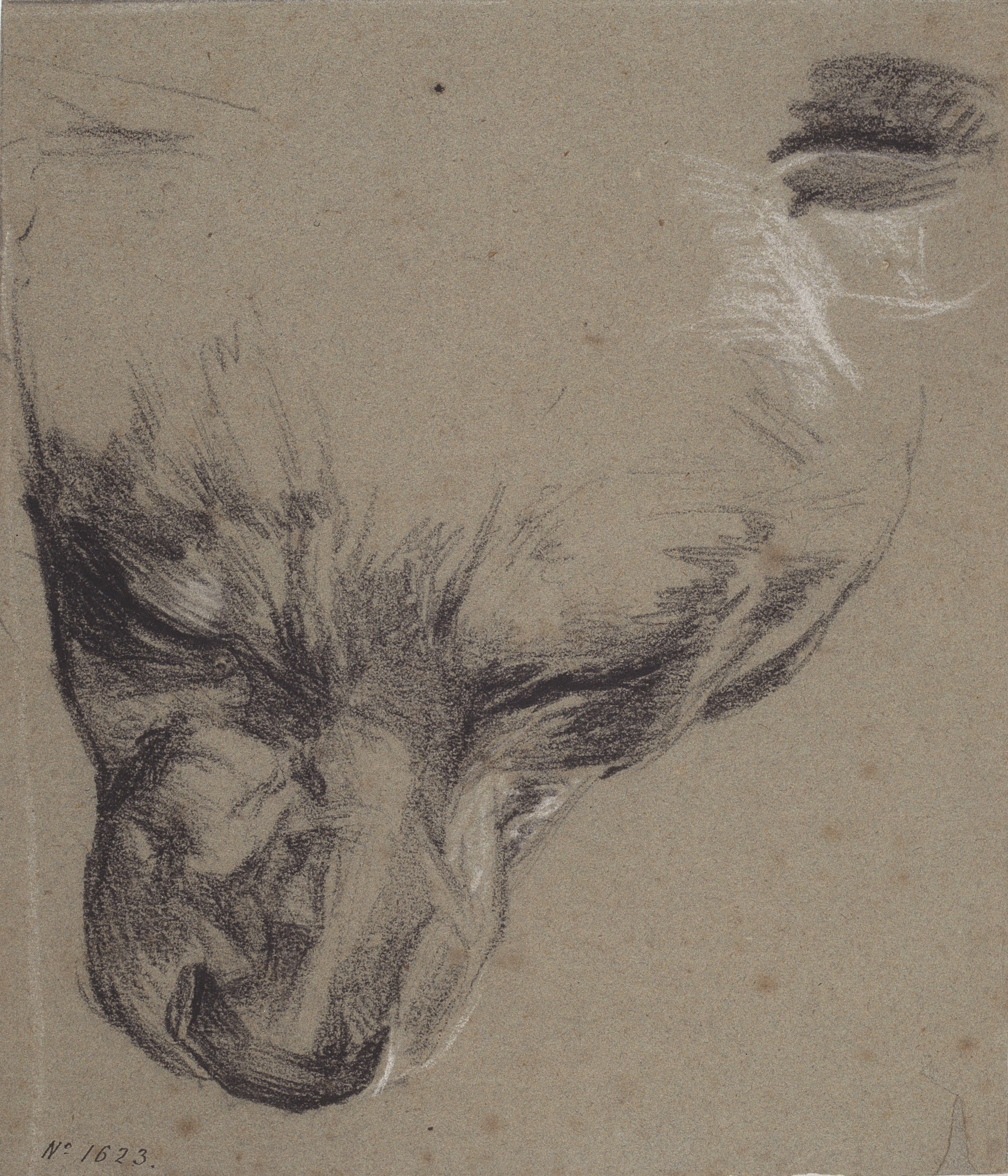 image for: Ramon Martí i Alsina - Morro d&#039;una guineu - Cap a 1862