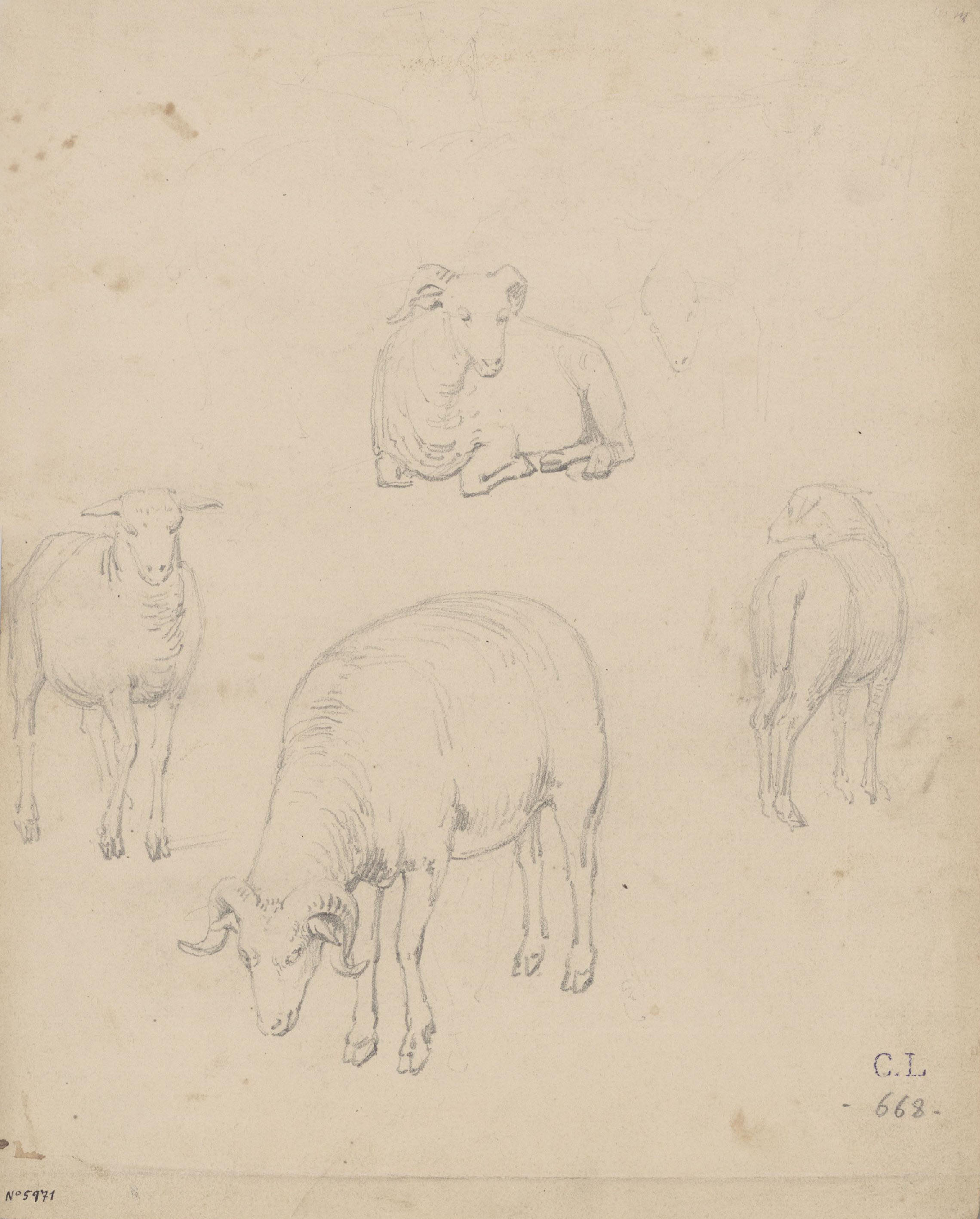 image for: Claudi Lorenzale - Estudi d&#039;ovelles - Cap a 1850-1870