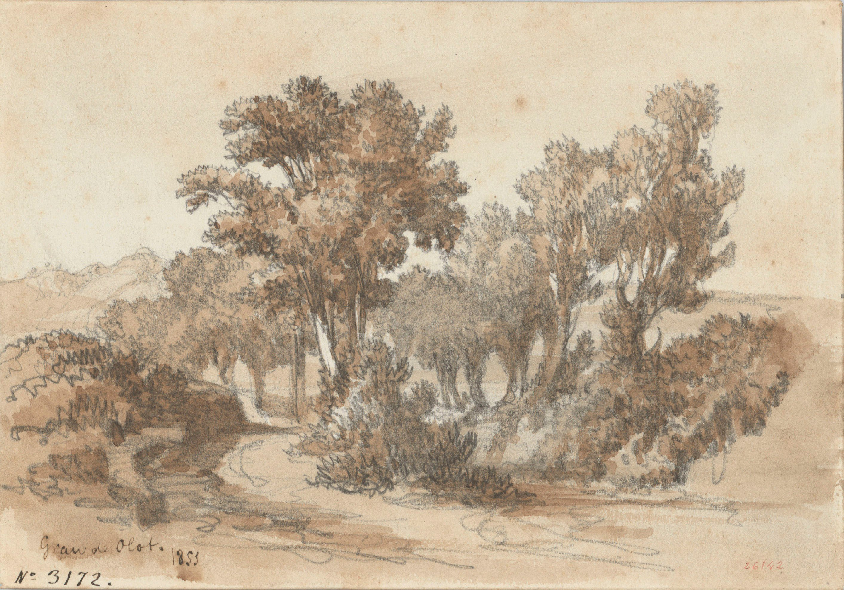 image for: Lluís Rigalt - Grau de Olot - 1851