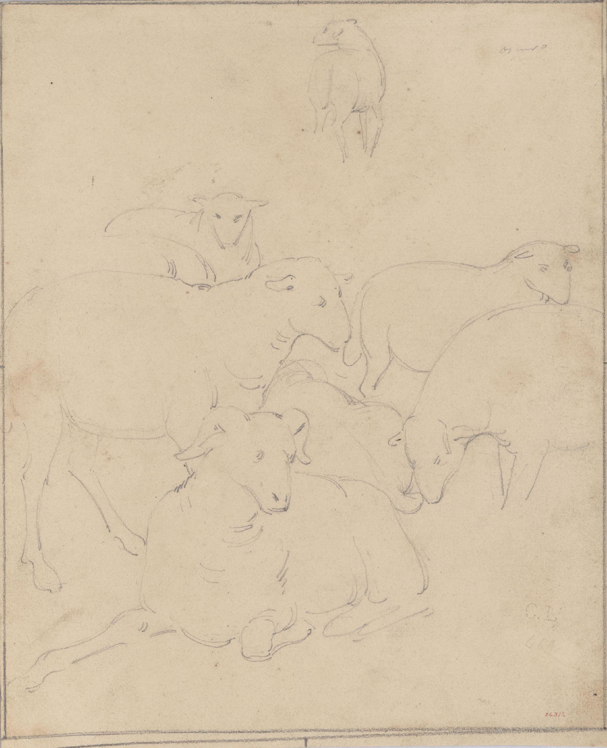 image for: Claudi Lorenzale - Ramat d&#039;ovelles - Cap a 1850-1870