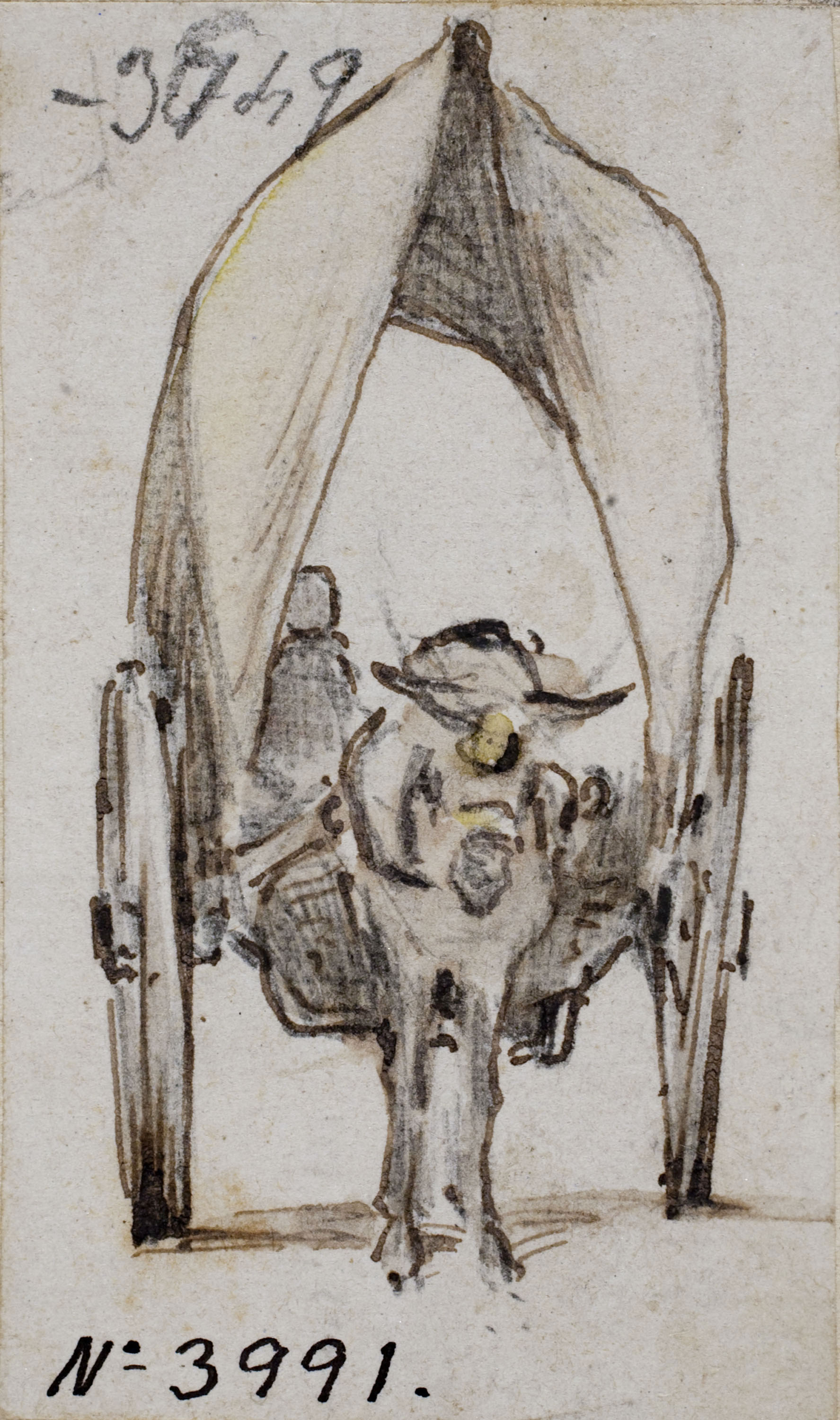 image for: Modest Urgell - Tartana - Cap a 1864