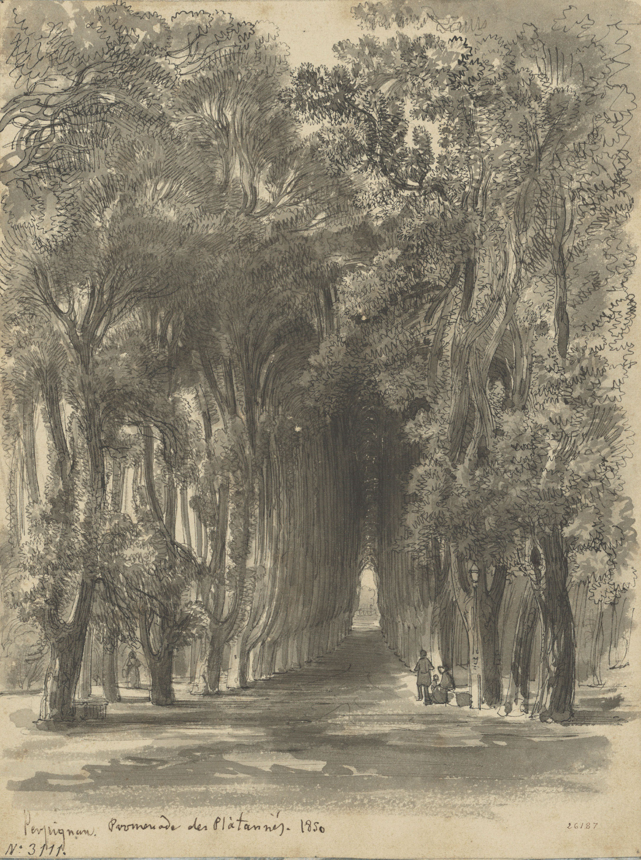 image for: Lluís Rigalt - Perpignan. Promenade des Platannés - 1850