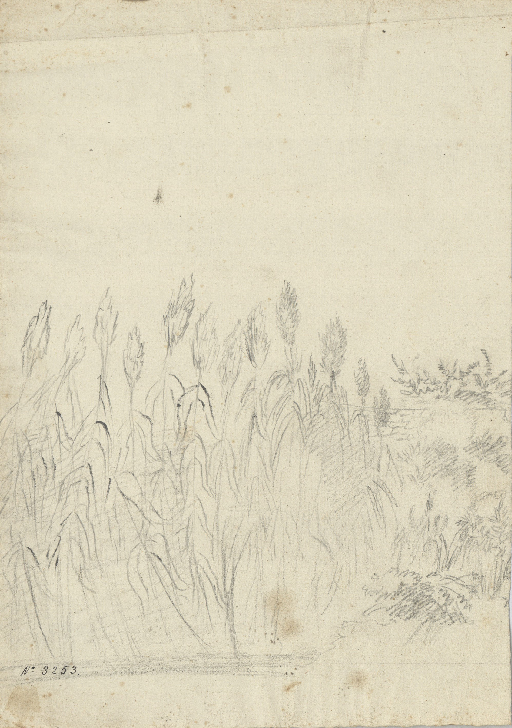 image for: Pau Rigalt - Un canyar - Cap a 1820-1840