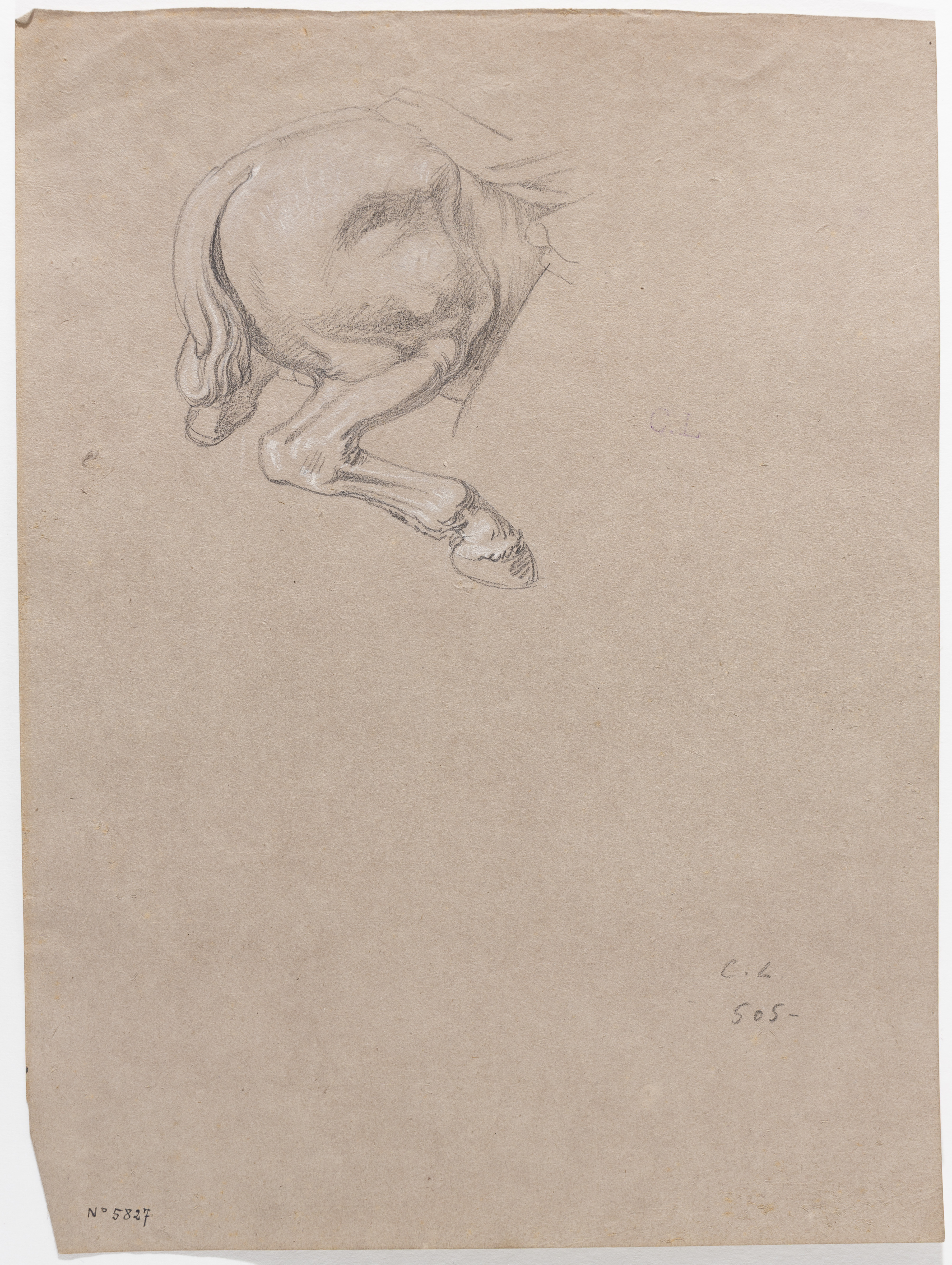 image for: Claudi Lorenzale - Estudi de la part del darrere d&#039;un cavall - Cap a 1840-1860