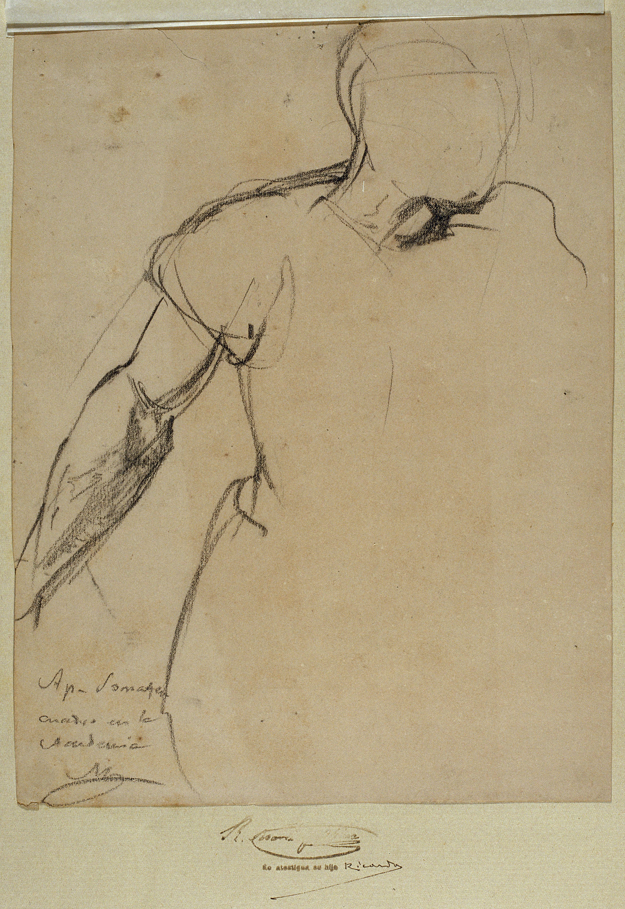 image for: Ramon Martí i Alsina - Part superior de figura femenina per al quadre El Sometent del Bruc - Cap a 1866