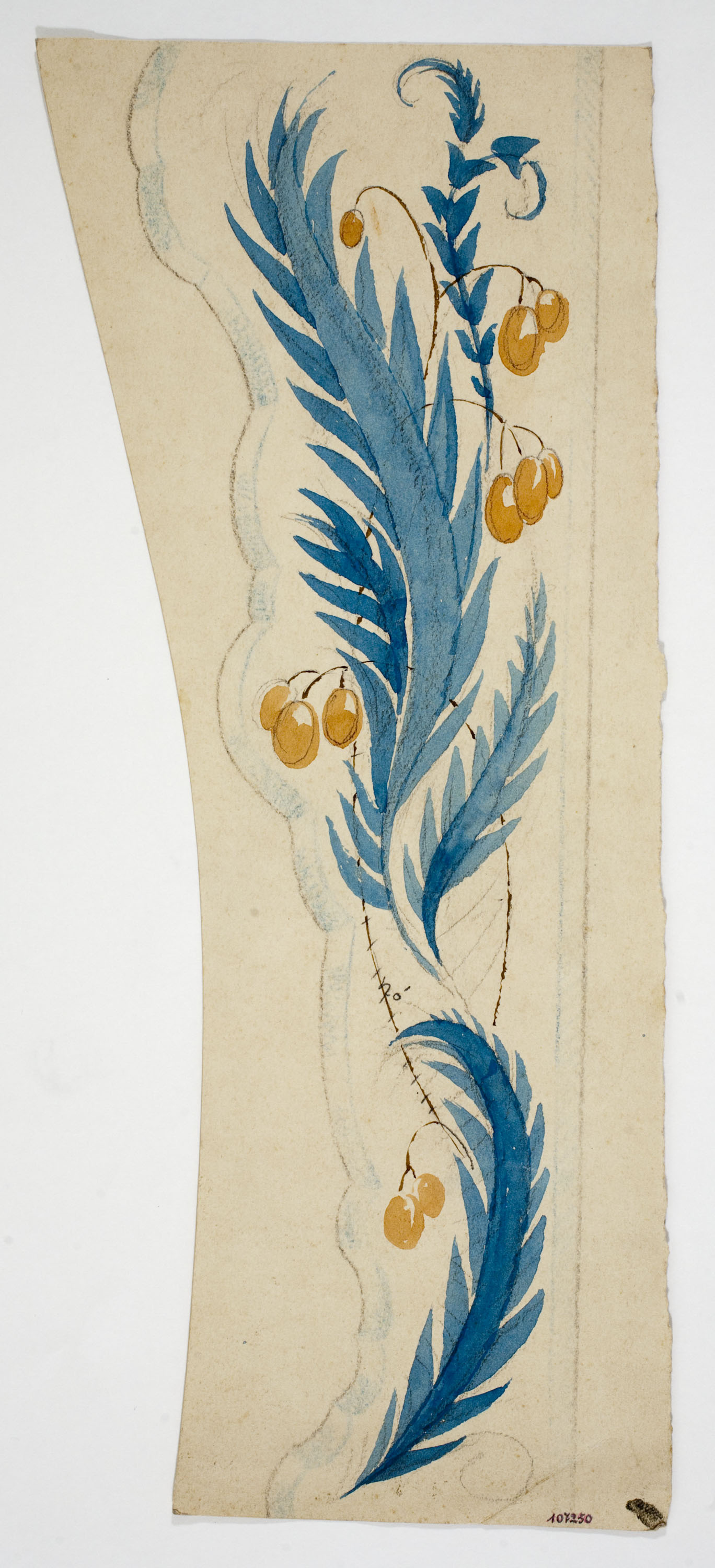 image for: Xavier Nogués - Motius vegetals. Estud preparatori per a la decoració d&#039;un mirall - Cap a 1924-1928