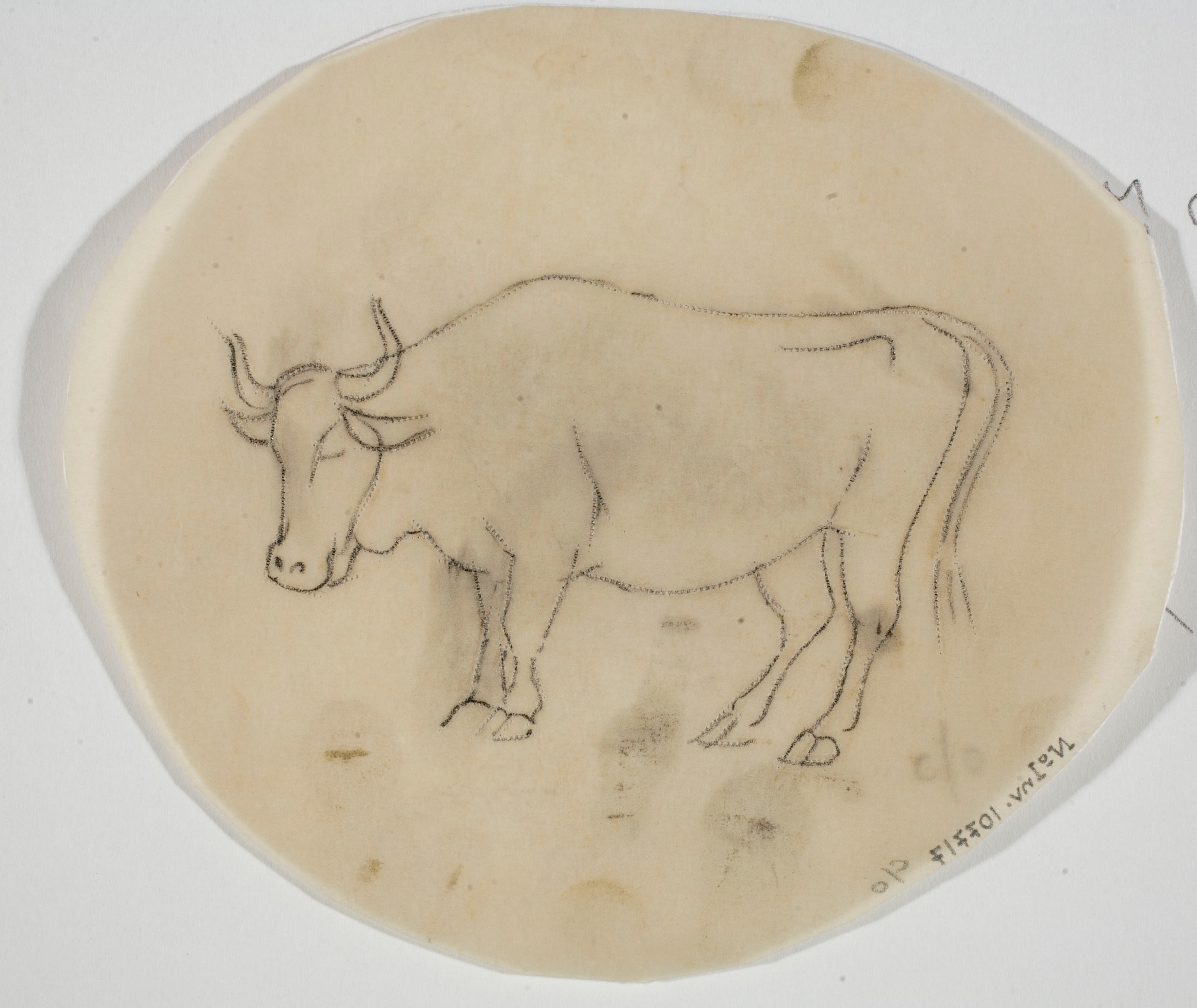 image for: Xavier Nogués - Bou