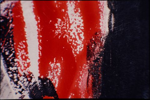 image for: Sense títol