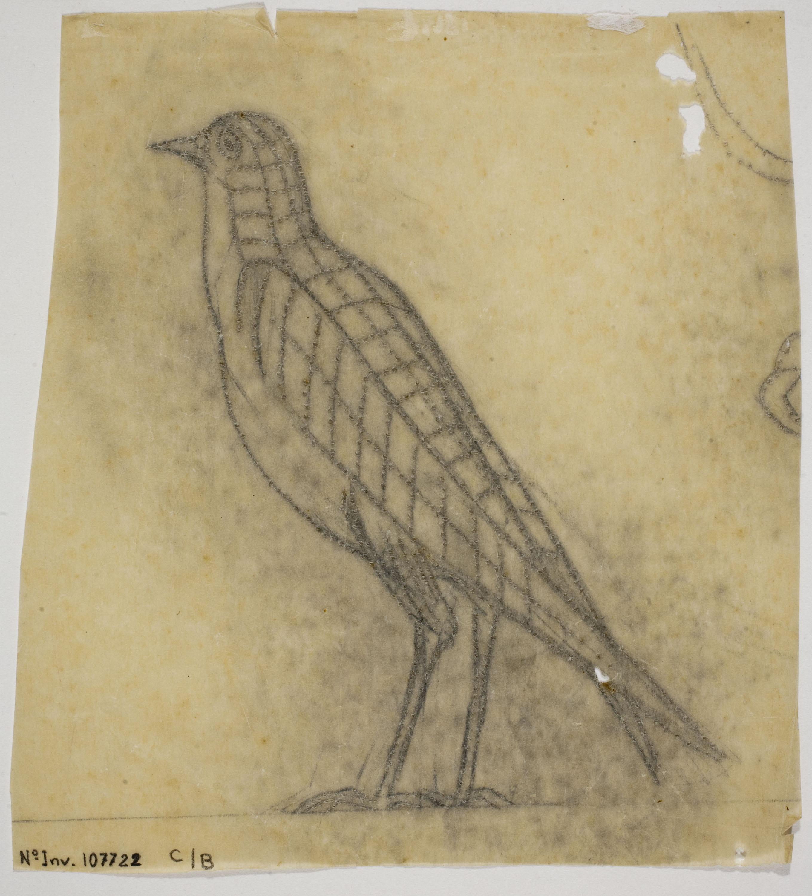 image for: Eveli Torent - Ocell