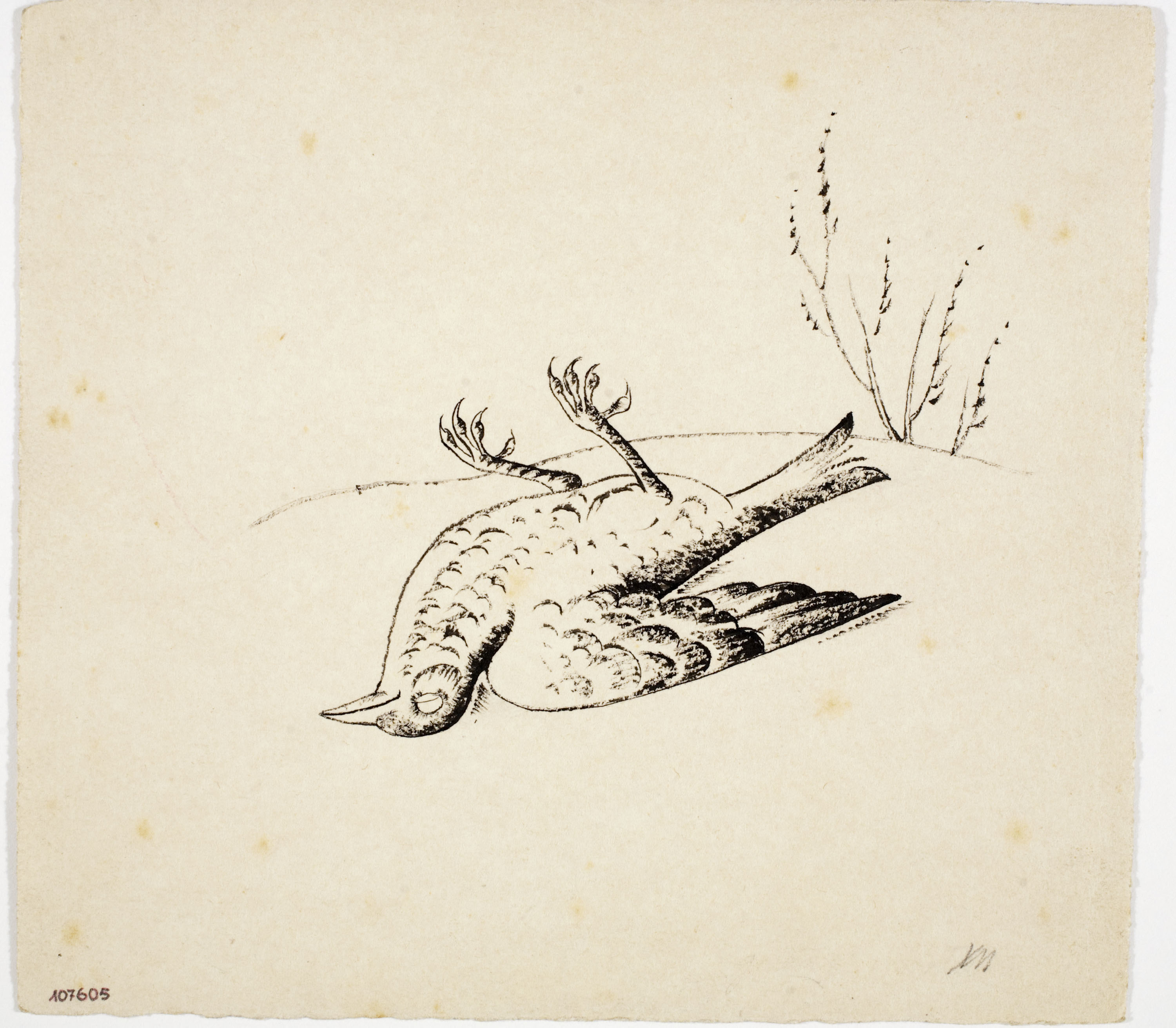 image for: Xavier Nogués - Griva morta (il·lustració per al «Bestiari» de Joan Oliver) - Cap a 1937