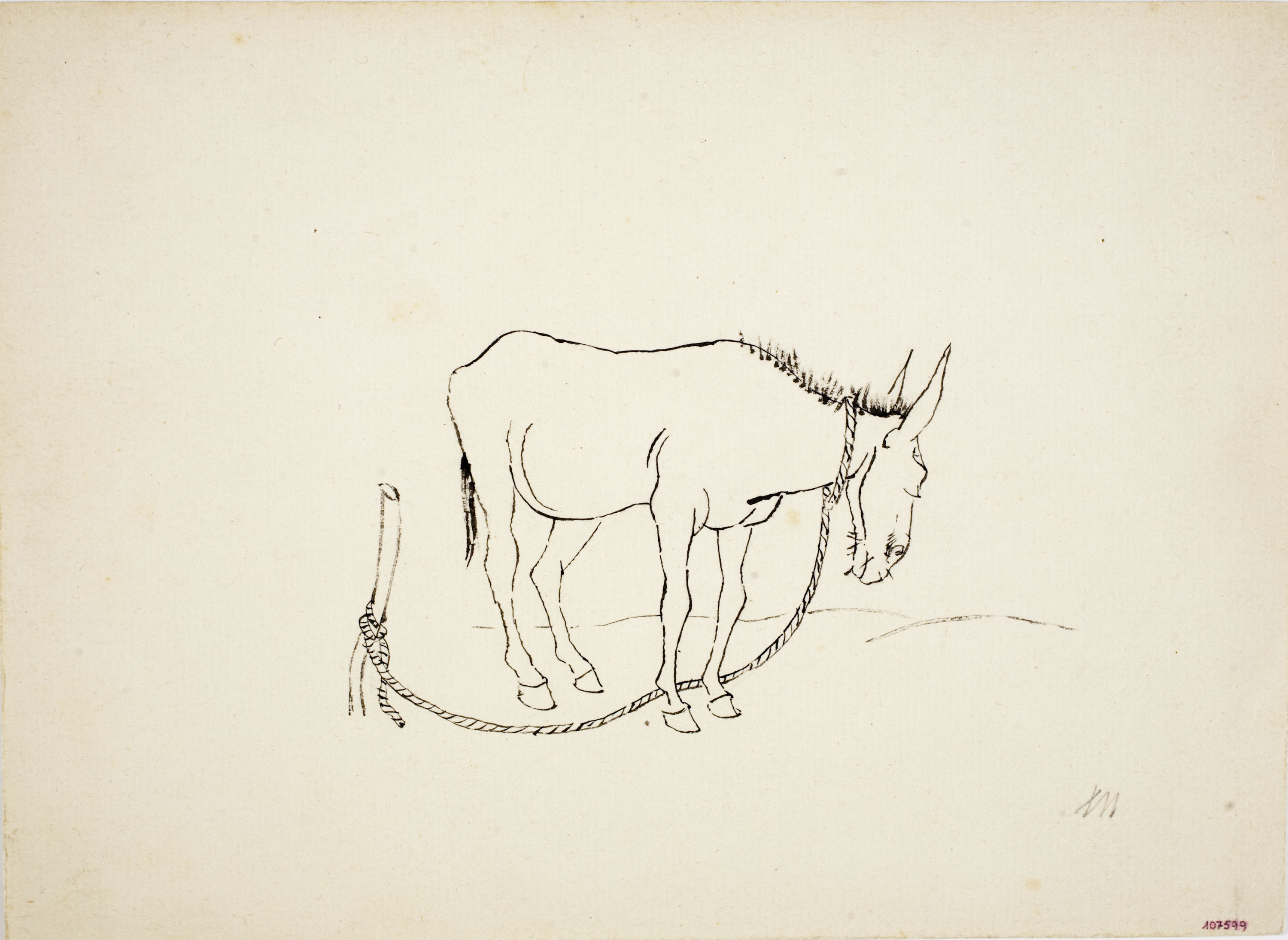 image for: Xavier Nogués - Ase (il·lustració per al «Bestiari» de Joan Oliver) - Cap a 1937