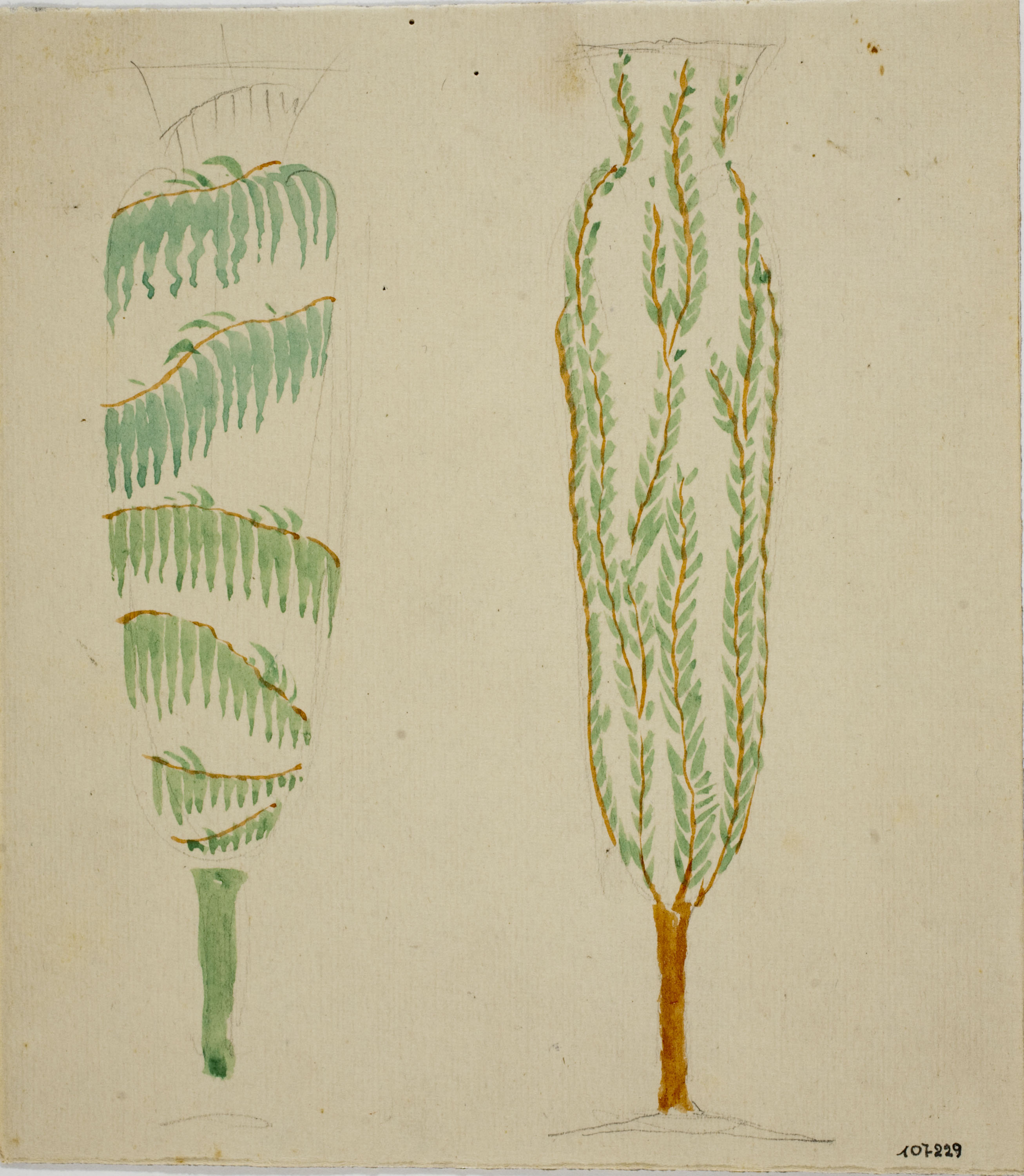 image for: Xavier Nogués - Motius vegetals. Estudi preparatori per a la decoració de vidre esmaltat - Cap a 1924-1928