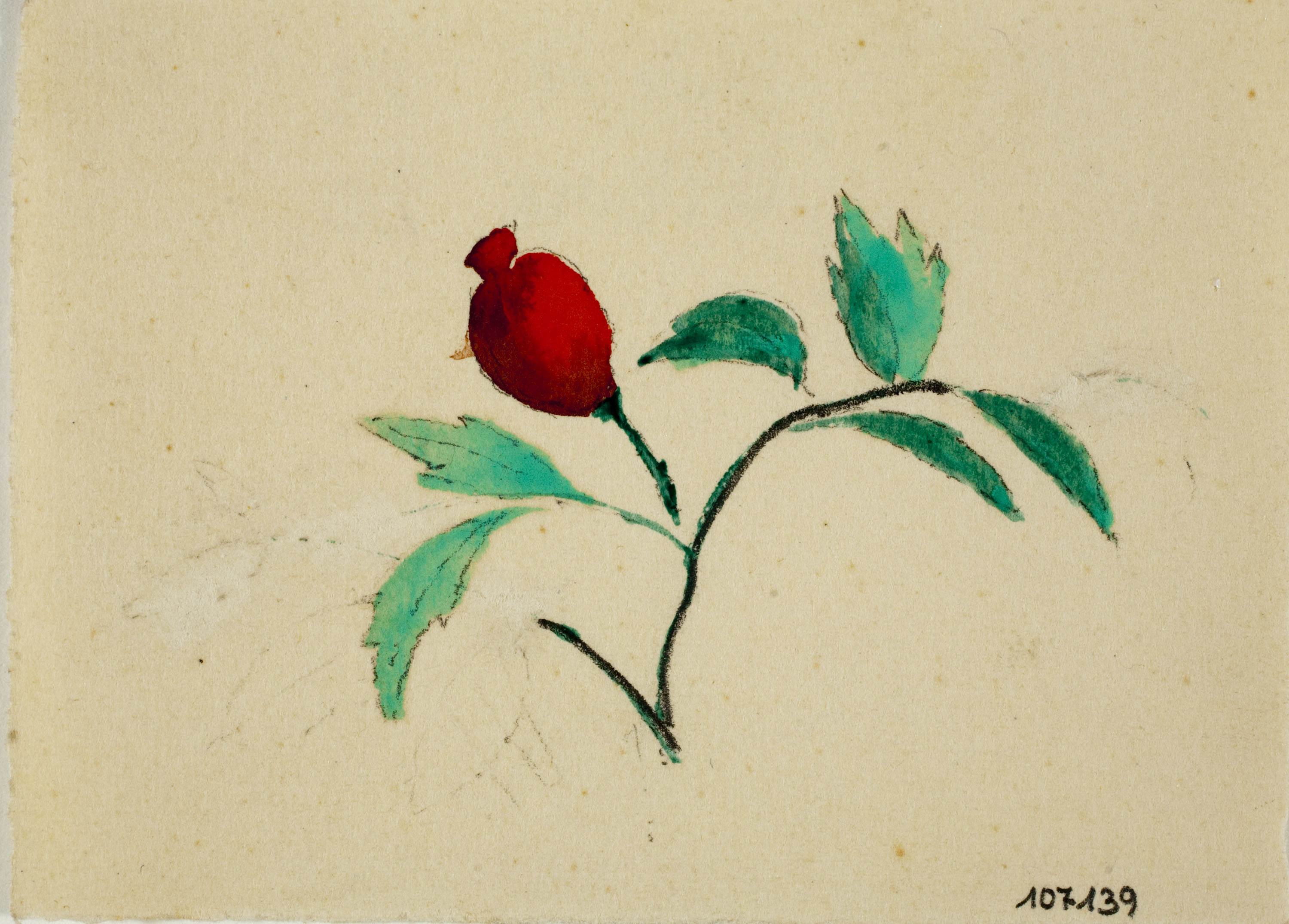 image for: Xavier Nogués - Flor. Estudi preparatori per a la decoració de vidre esmaltat - Cap a 1924-1928