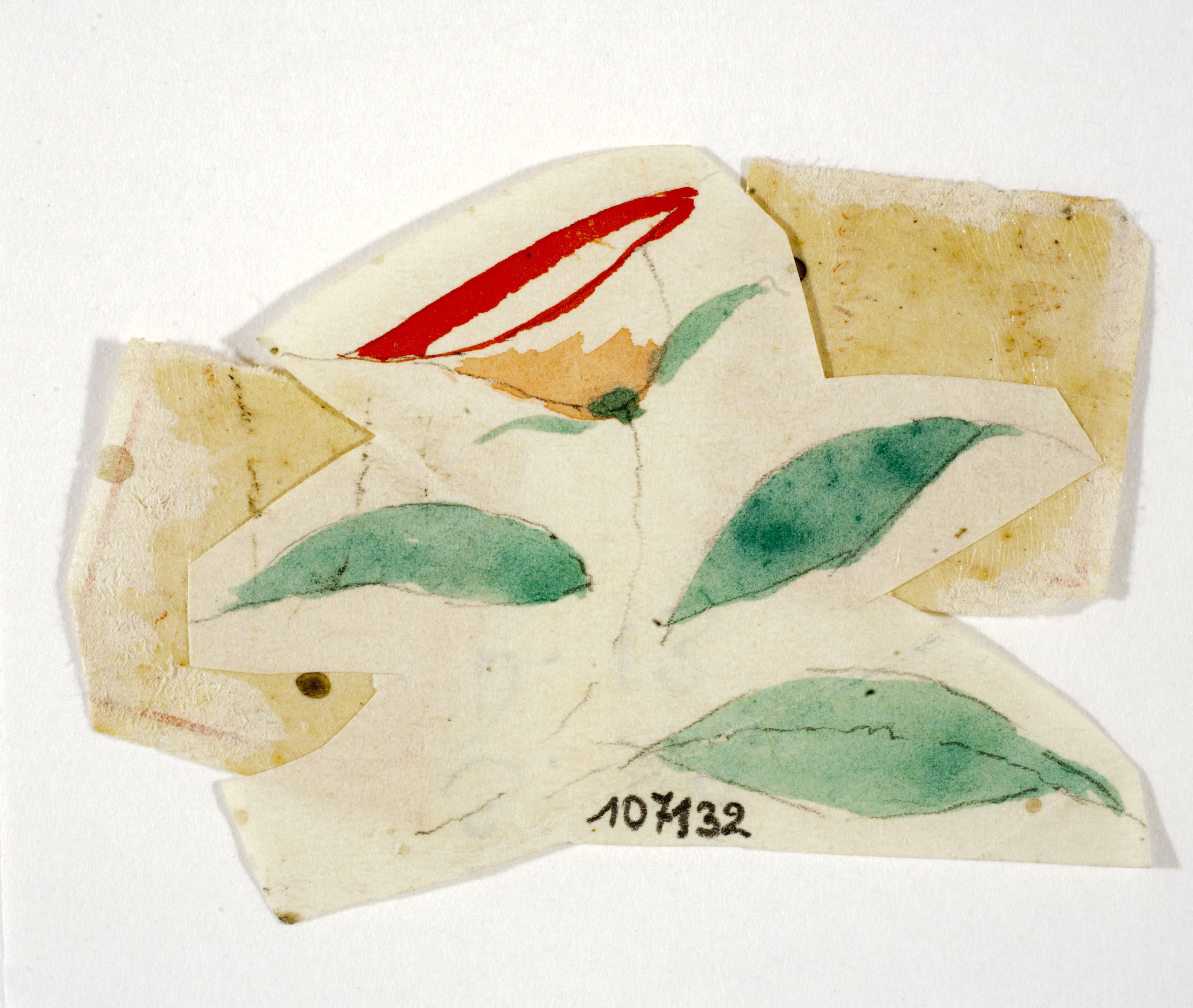 image for: Xavier Nogués - Flor. Estudi preparatori per a la decoració de vidre esmaltat - Cap a 1924-1928