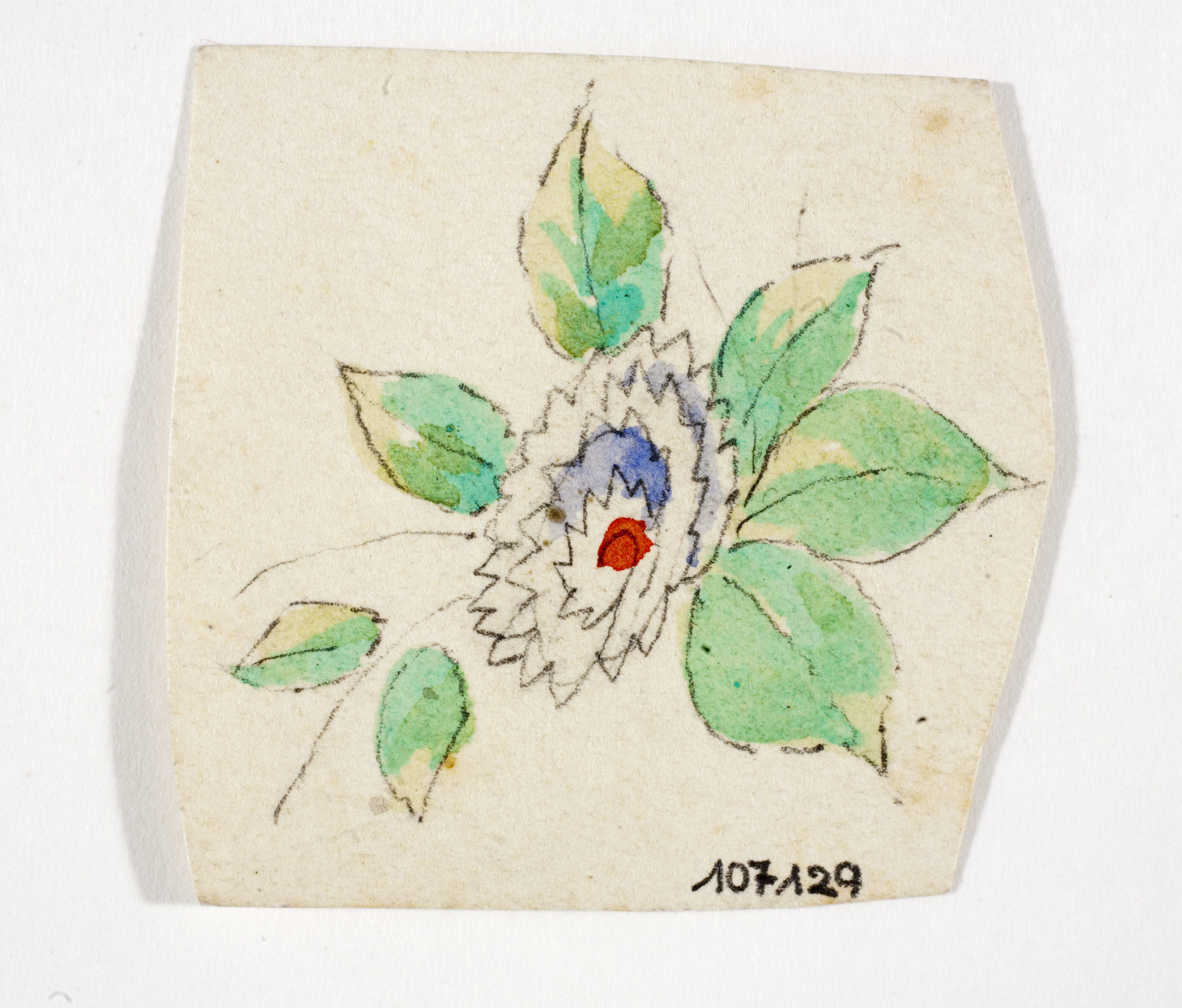 image for: Xavier Nogués - Flor. Estudi preparatori per a la decoració de vidre esmaltat - Cap a 1924-1928