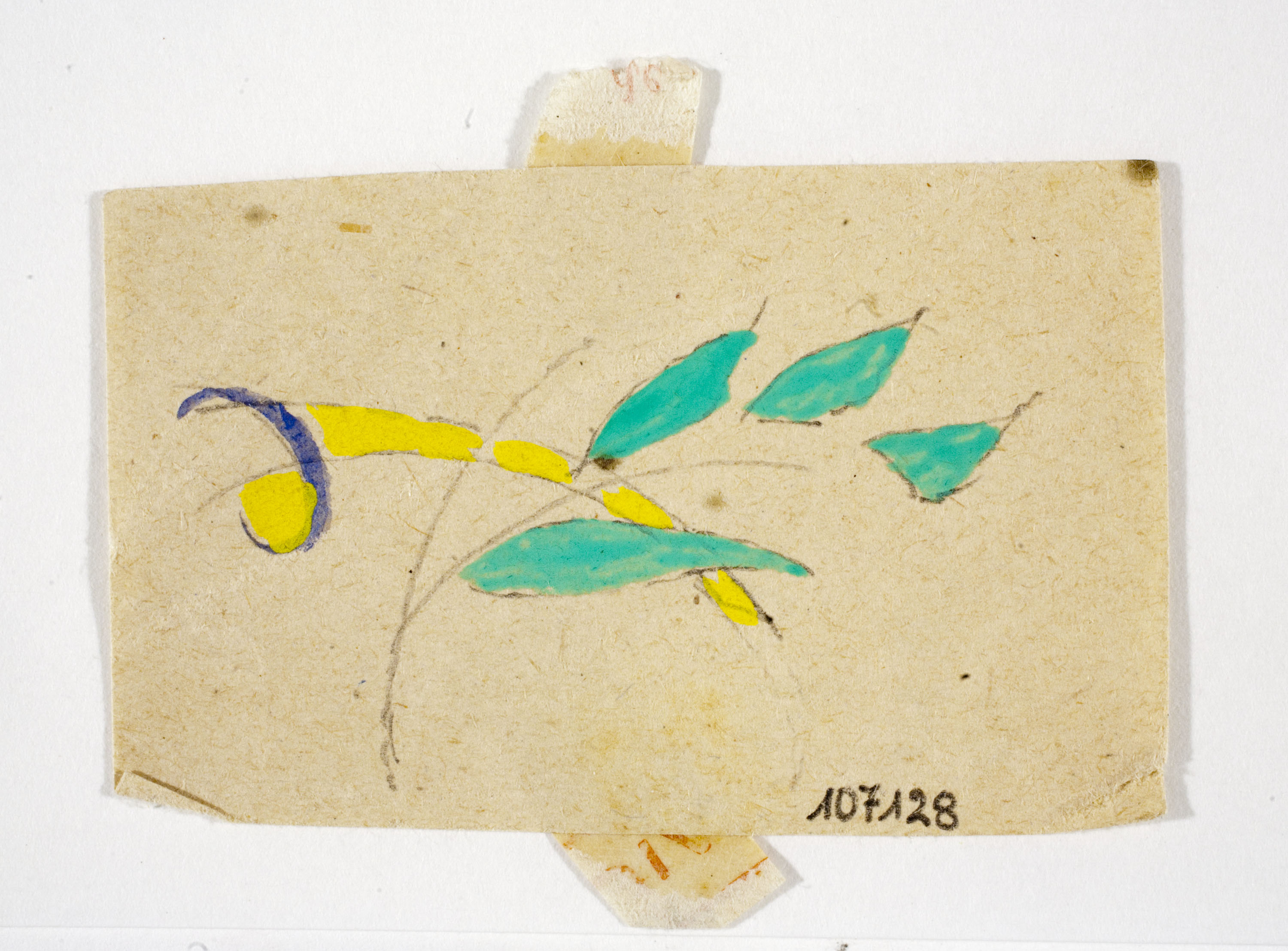 image for: Xavier Nogués - Motius vegetals. Estudi preparatori per a la decoració de vidre esmaltat - Cap a 1924-1928