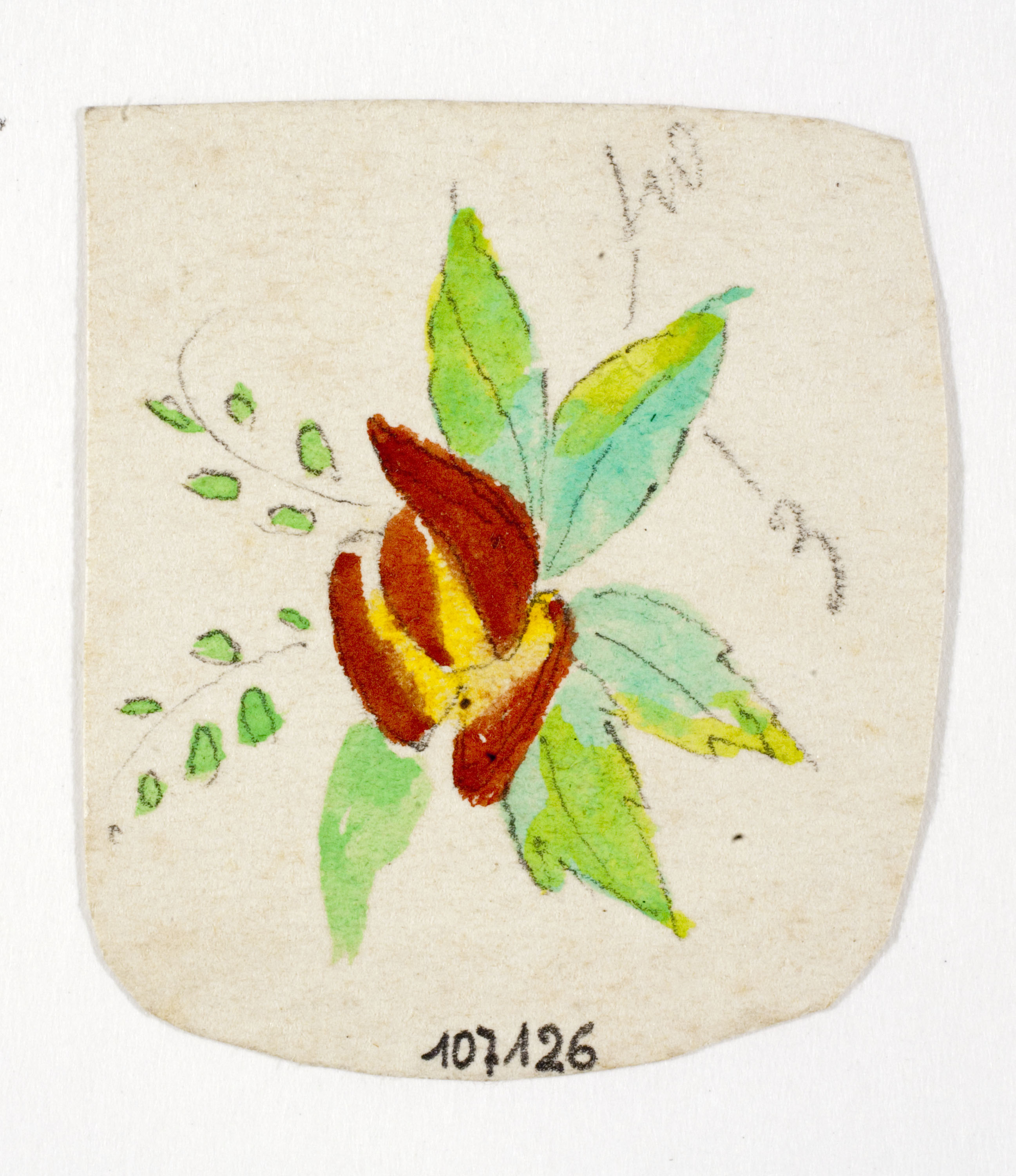 image for: Xavier Nogués - Flor. Estudi preparatori per a la decoració de vidre esmaltat - Cap a 1924-1928