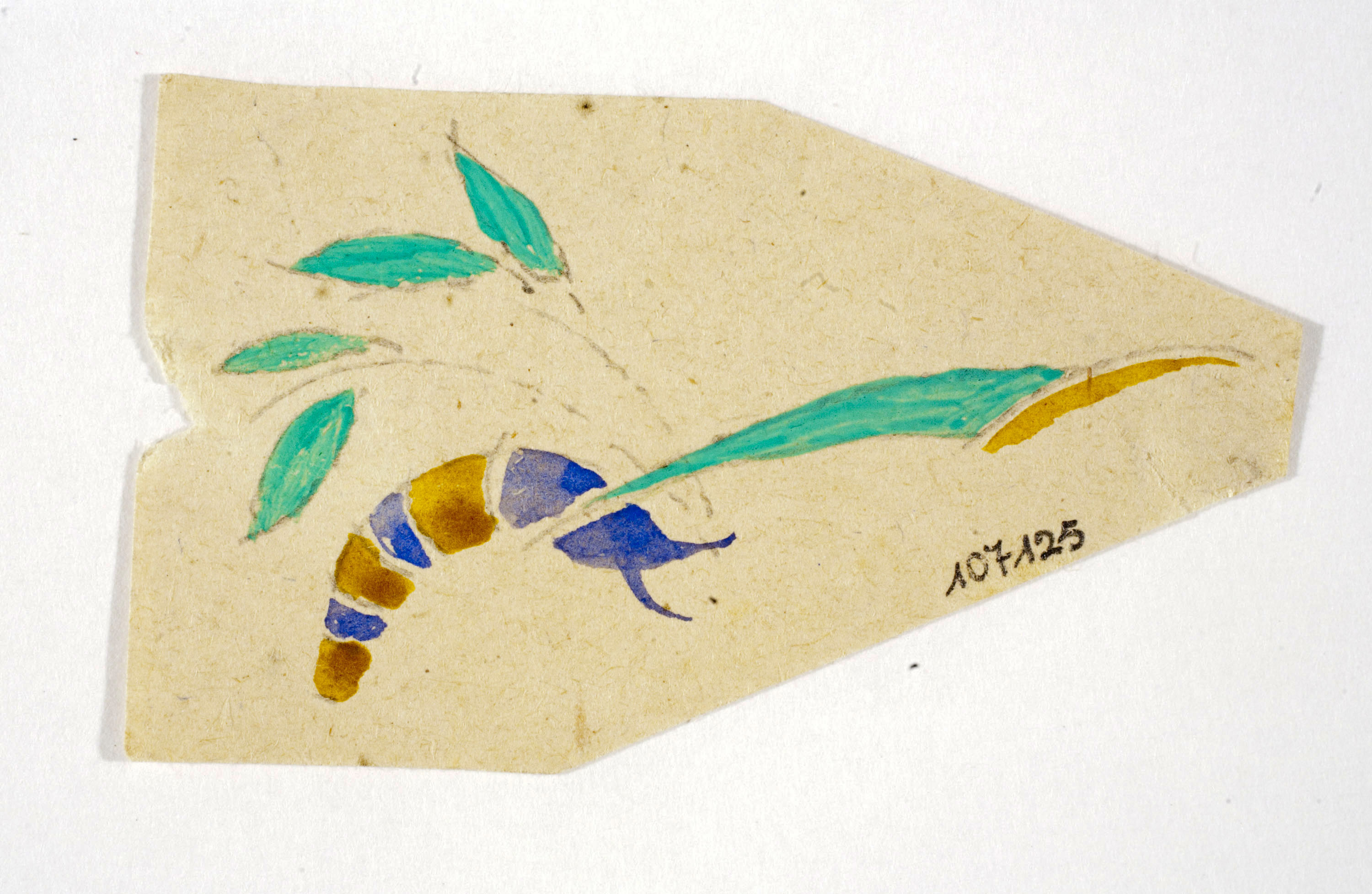 image for: Xavier Nogués - Cuc i motius vegetals. Estudi preparatori per a la decoració de vidre esmaltat - Cap a 1924-1928