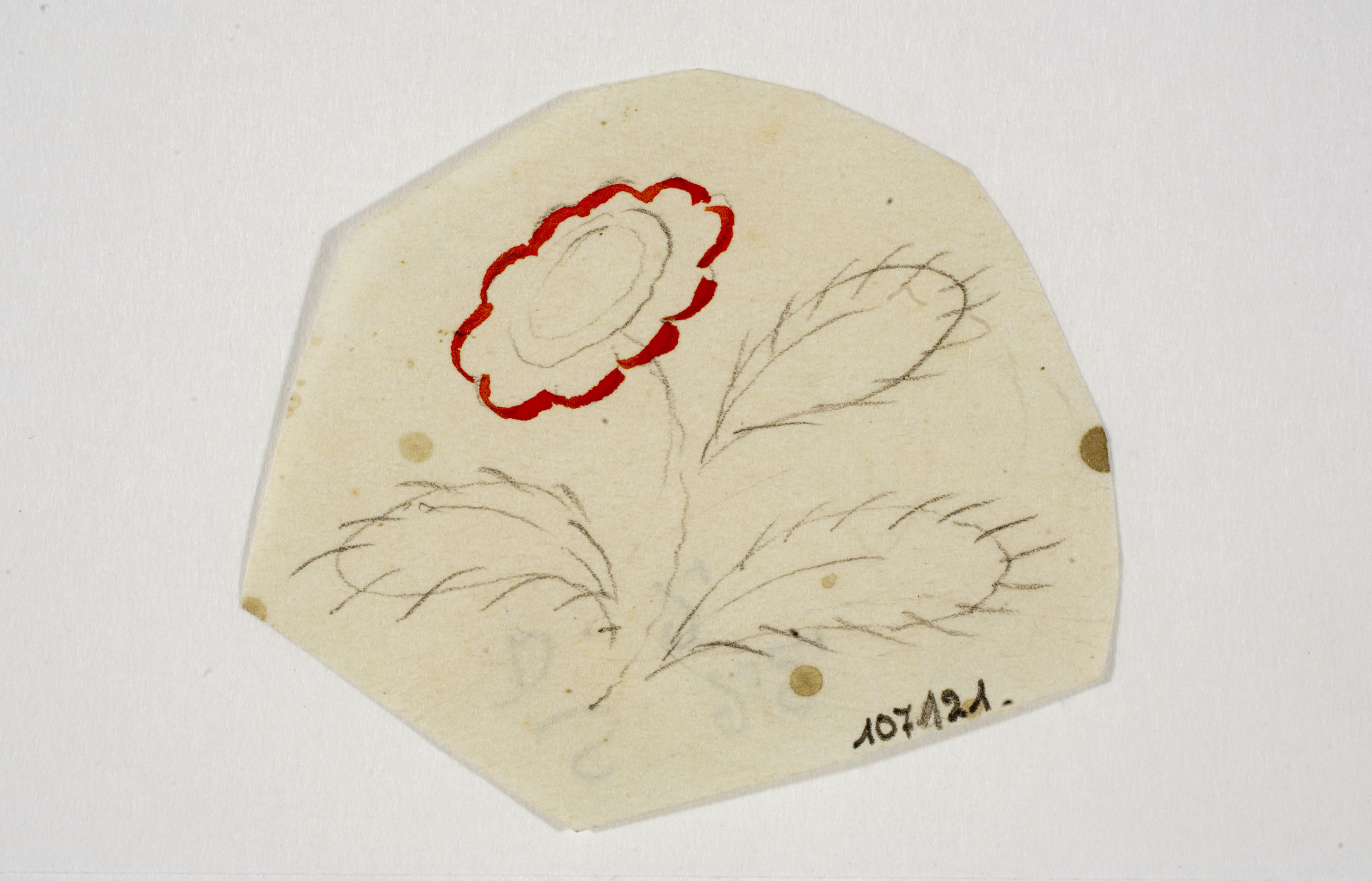 image for: Xavier Nogués - Flor. Estudi preparatori per a la decoració de vidre esmaltat - Cap a 1924-1928