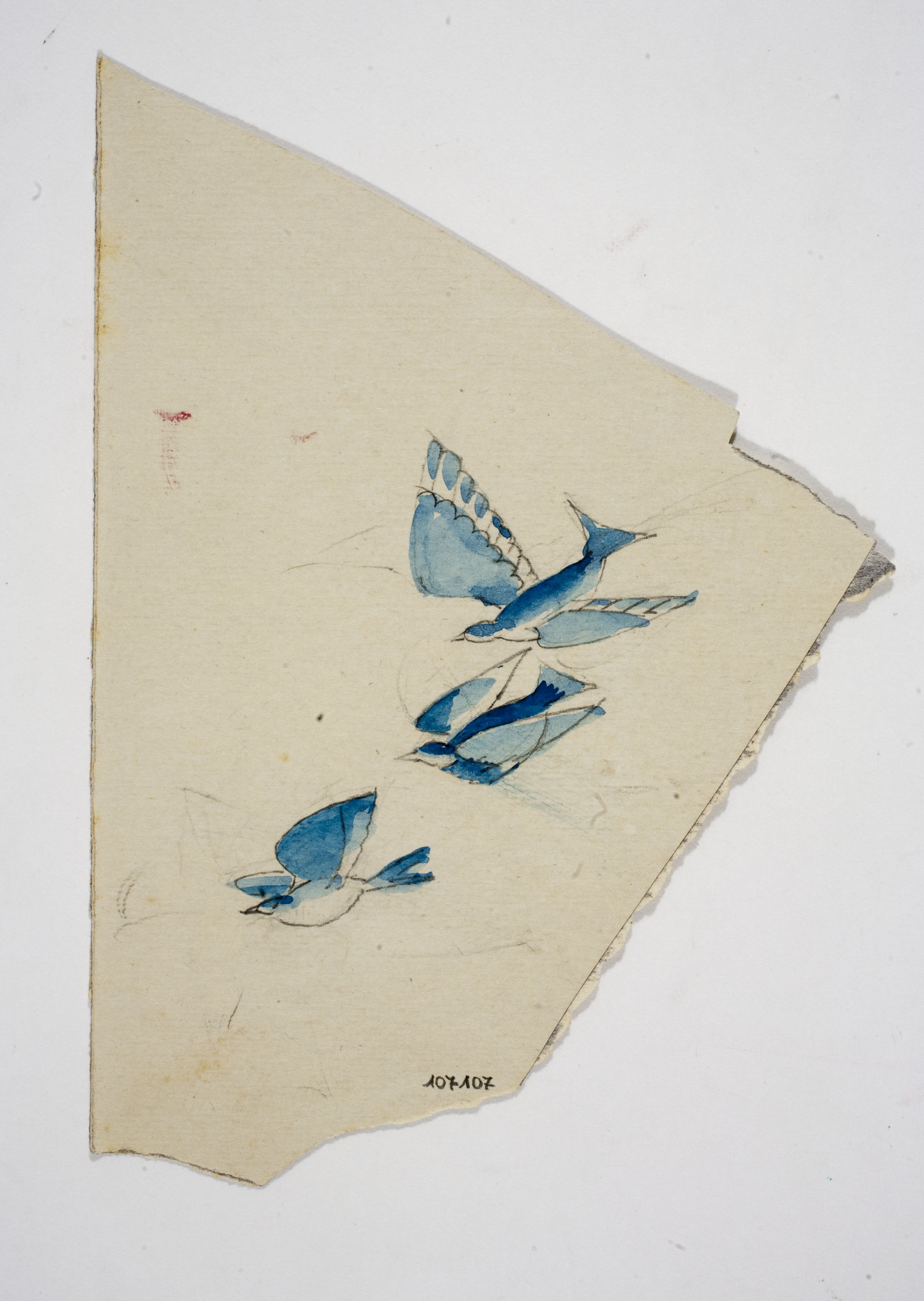 image for: Xavier Nogués - Ocells. Estudi preparatori per a la decoració de vidre esmaltat - Cap a 1924-1928
