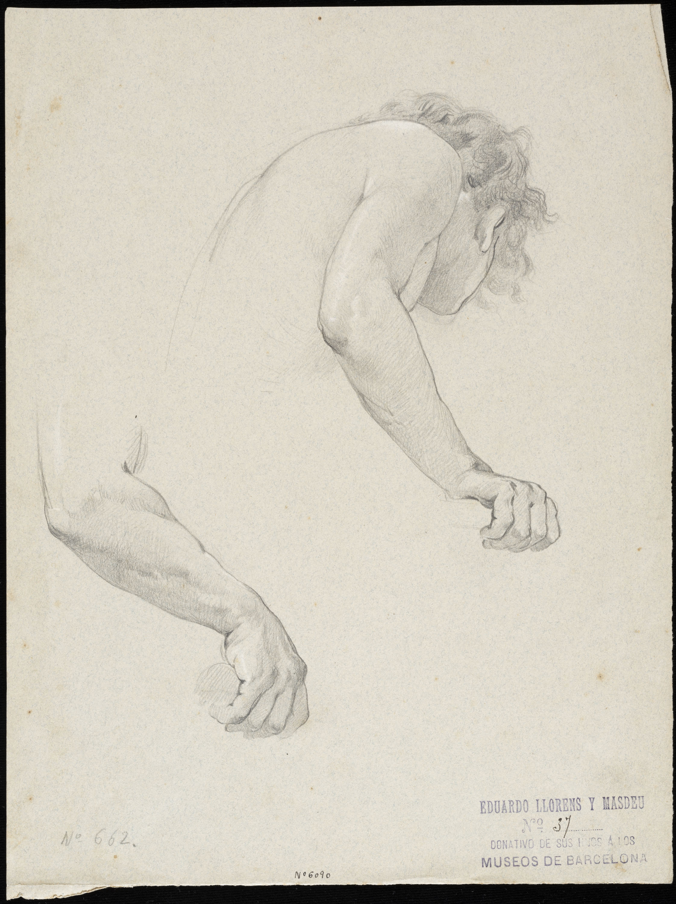 image for: Eduard Llorens - Estudi de braços i tors - Cap a 1854-1864