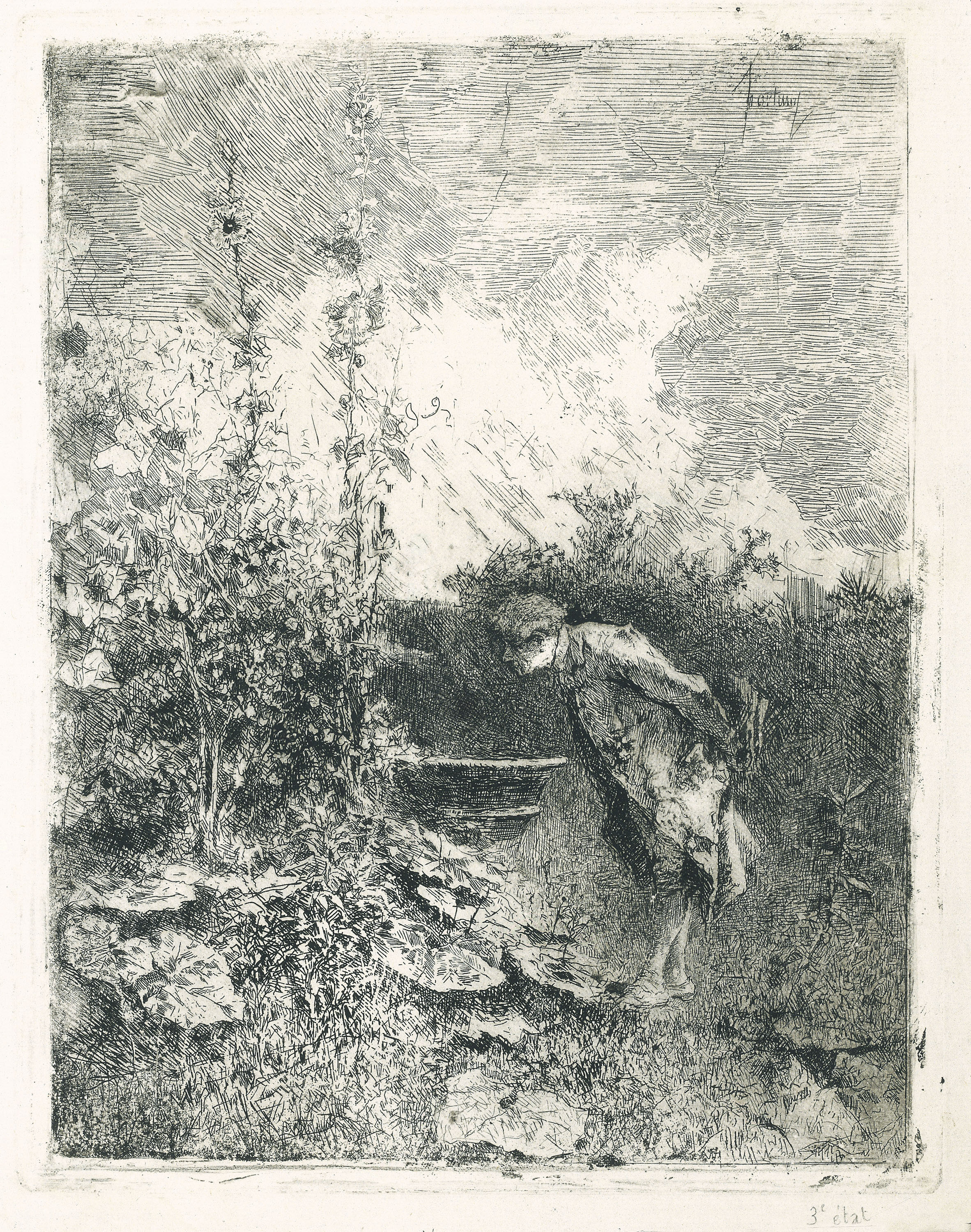 image for: Marià Fortuny - El botànic - Cap a 1868-1869