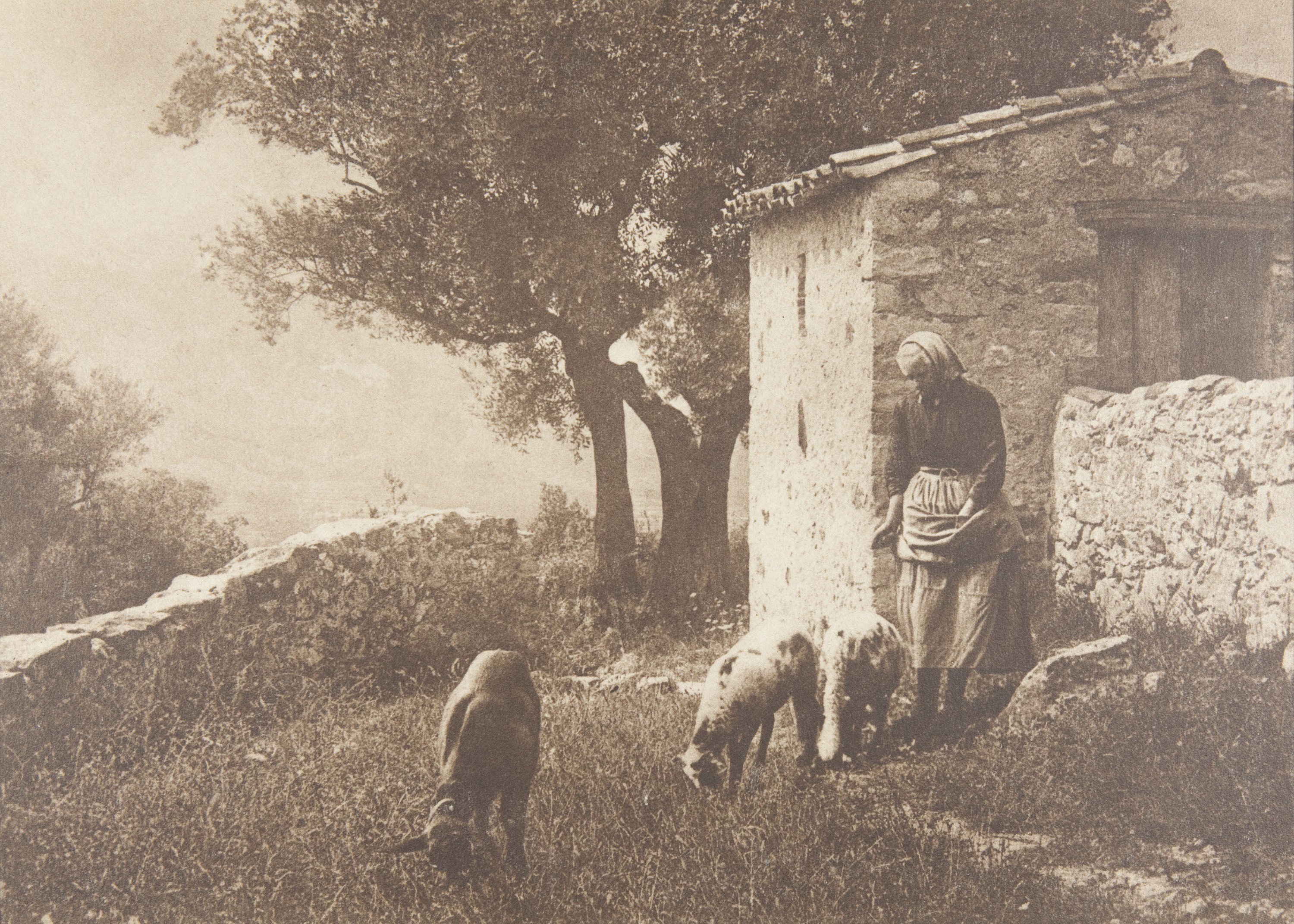 image for: Claudi Carbonell - Escena campestre - No datat