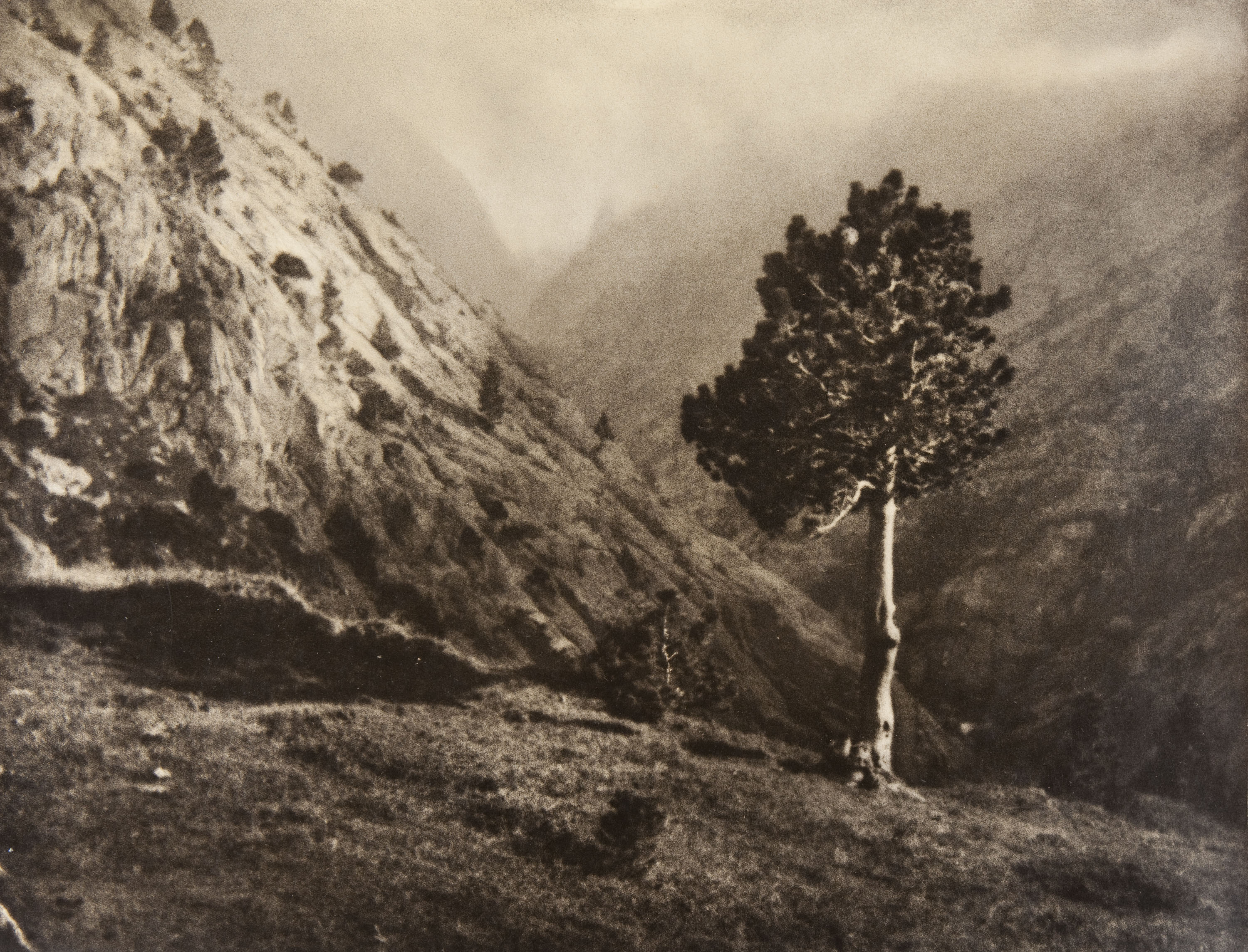 image for: Claudi Carbonell - Sense títol - No datat