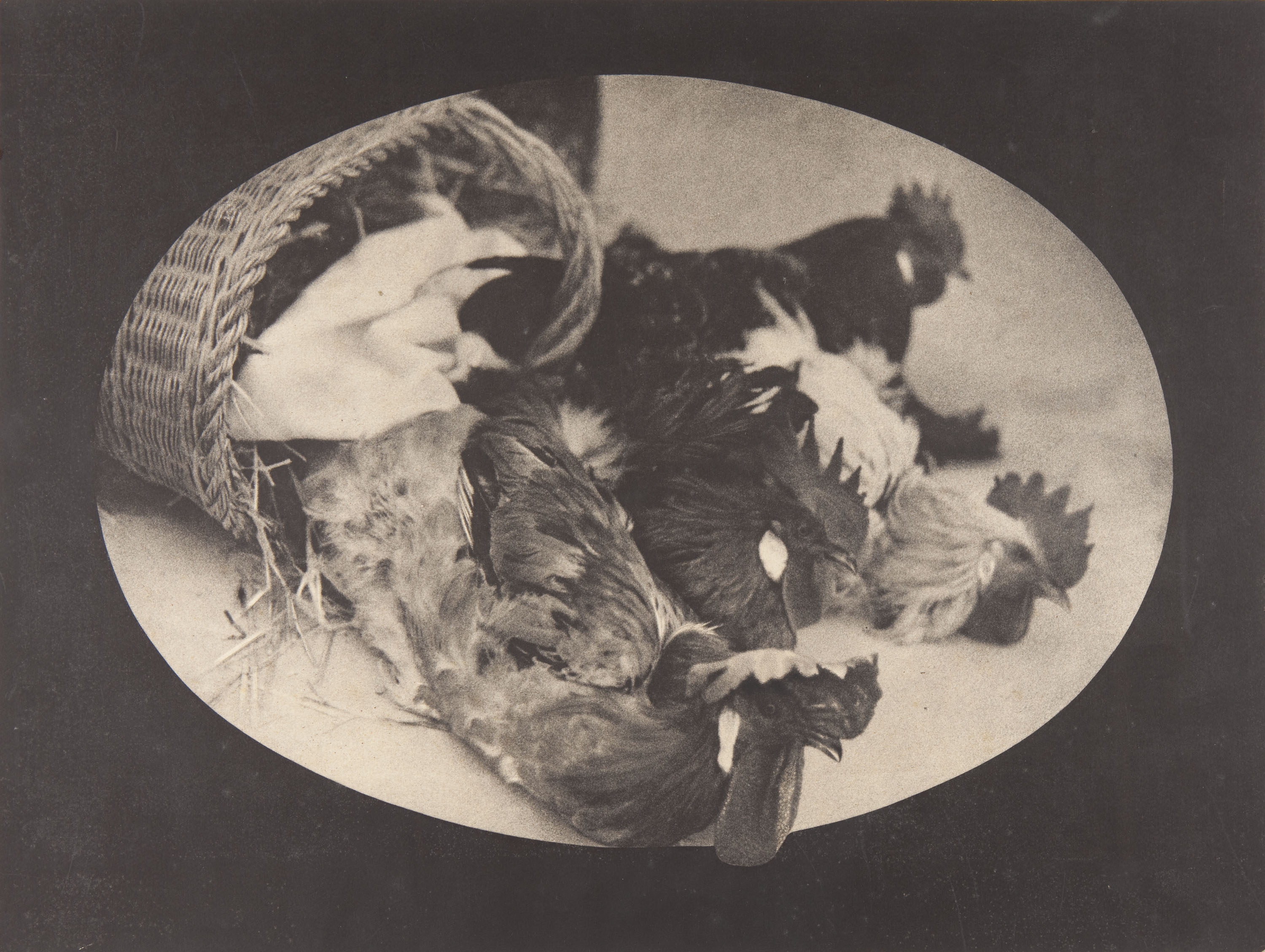 image for: Claudi Carbonell - Sense títol - No datat