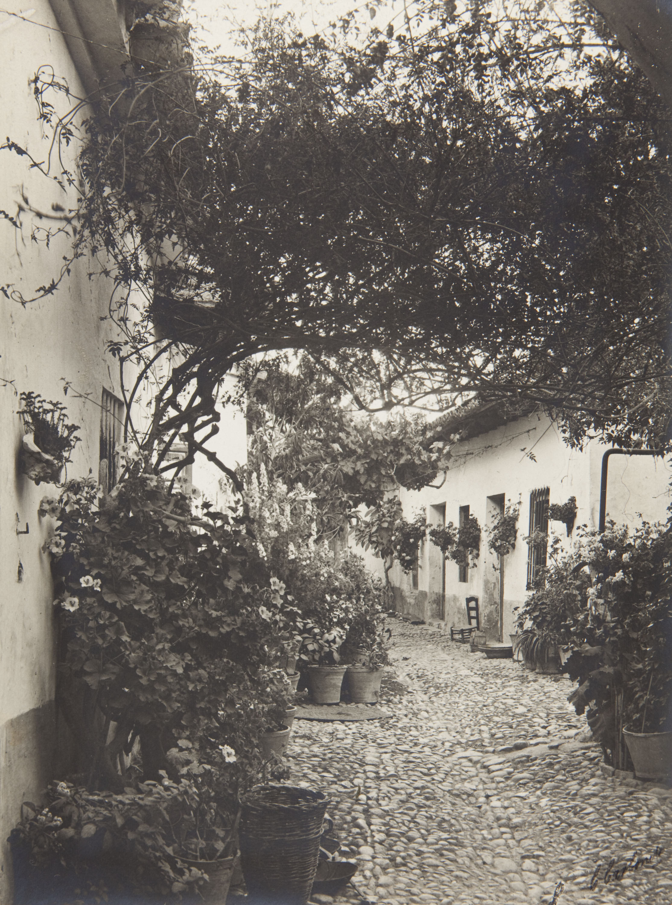 image for: Claudi Carbonell - Sense títol - No datat