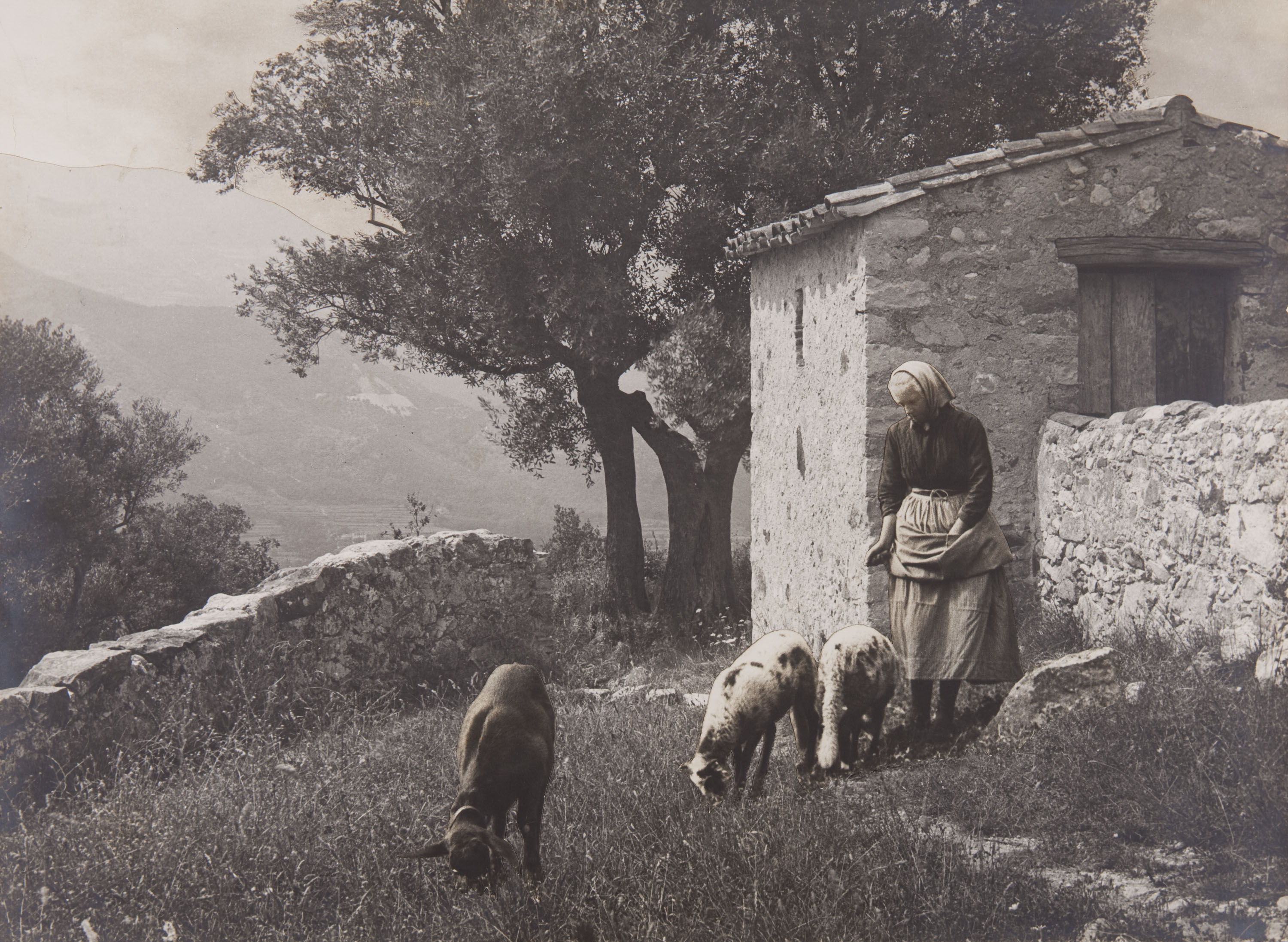 image for: Claudi Carbonell - Sense títol [Escena campestre] - No datat