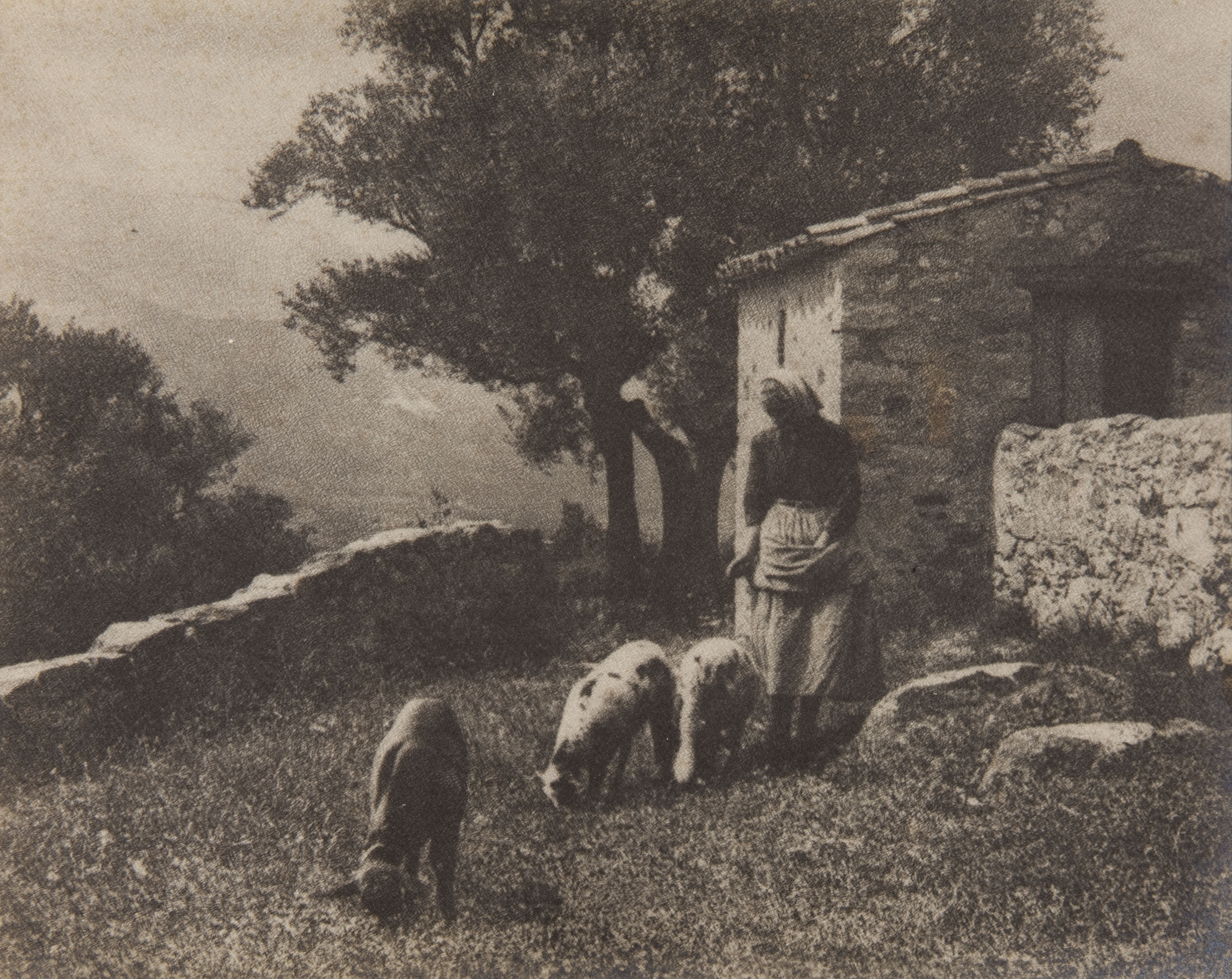 image for: Claudi Carbonell - Sense títol [Escena campestre] - No datat