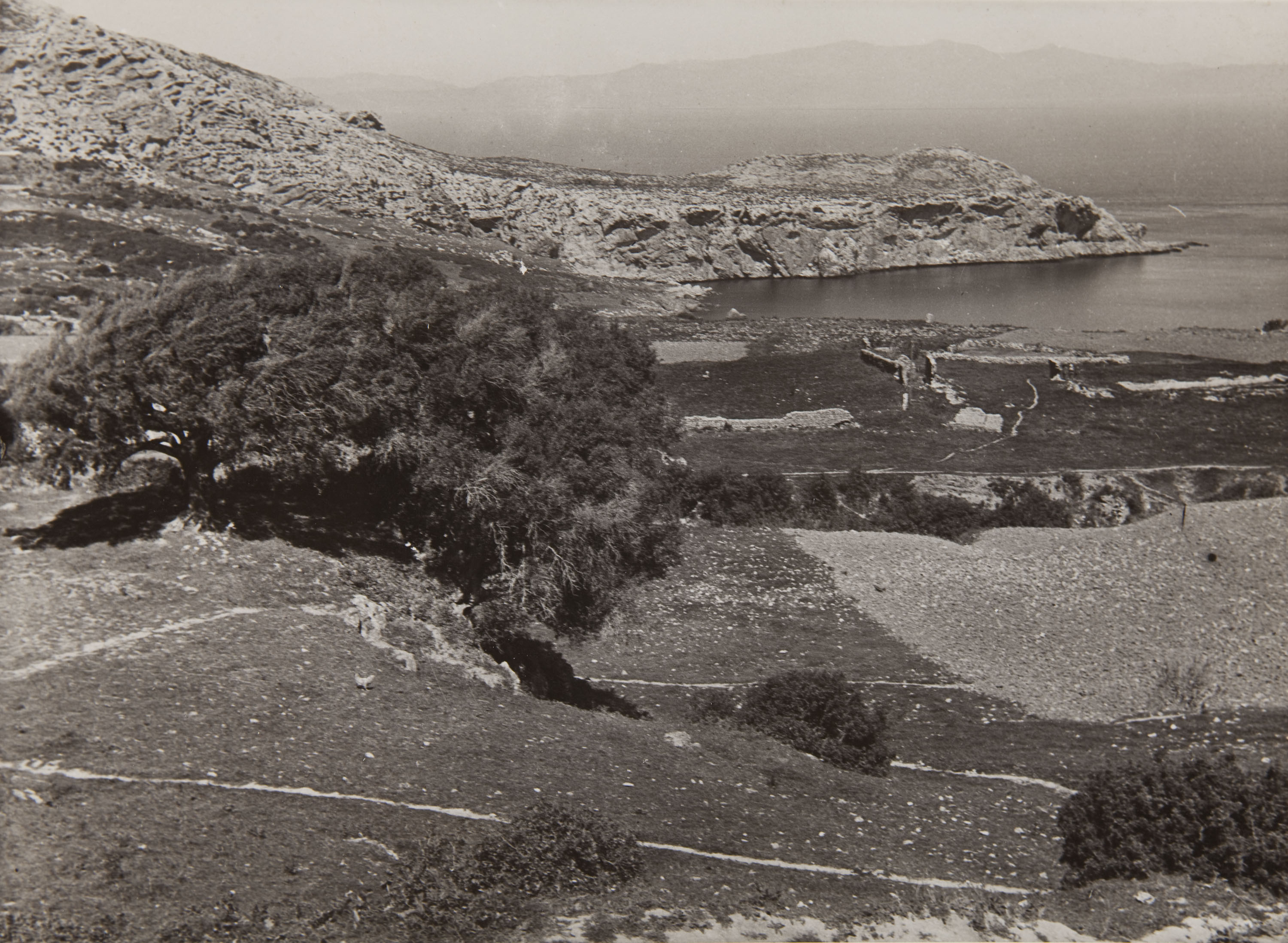 image for: Claudi Carbonell - Sense títol - No datat