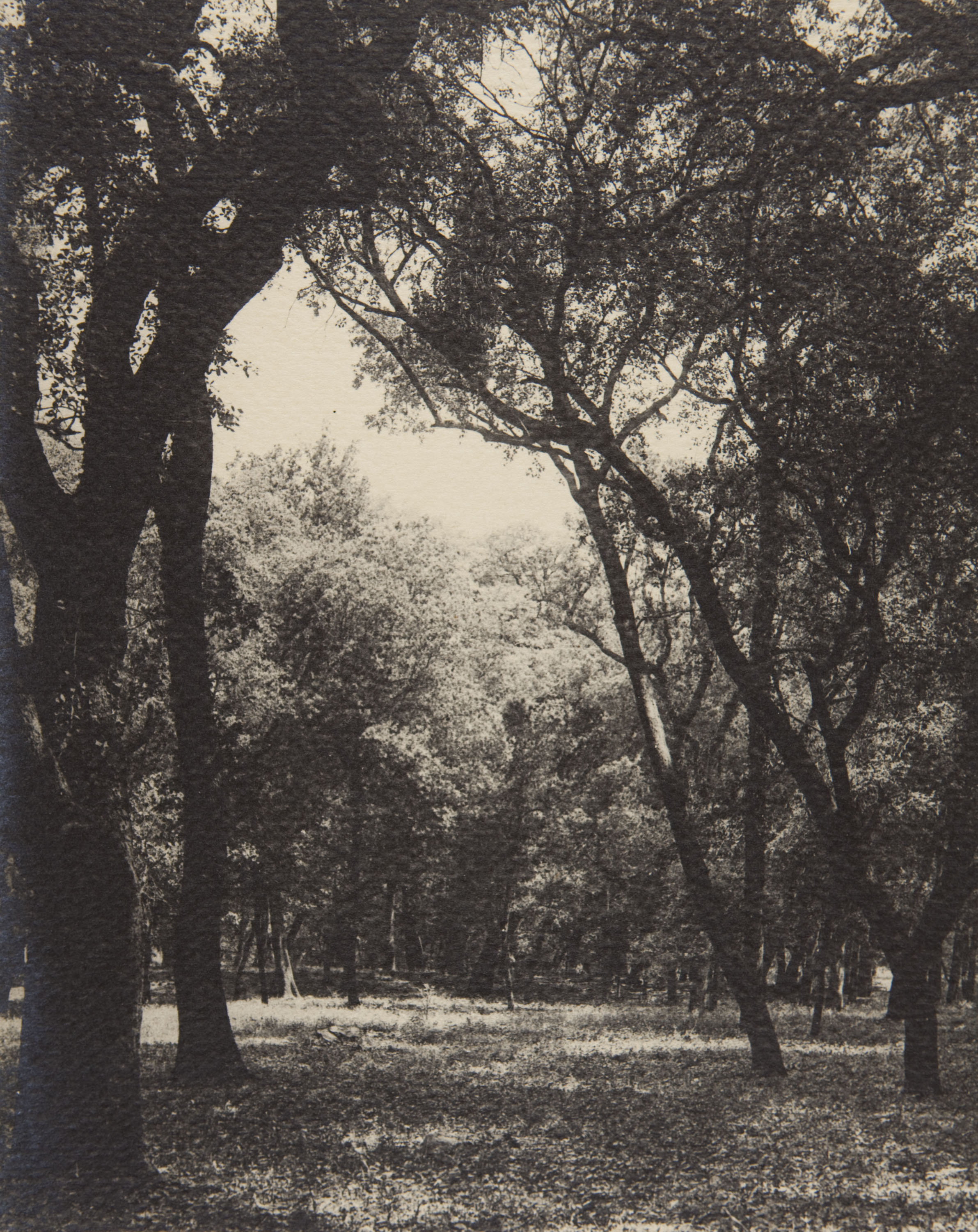 image for: Claudi Carbonell - Sense títol - No datat