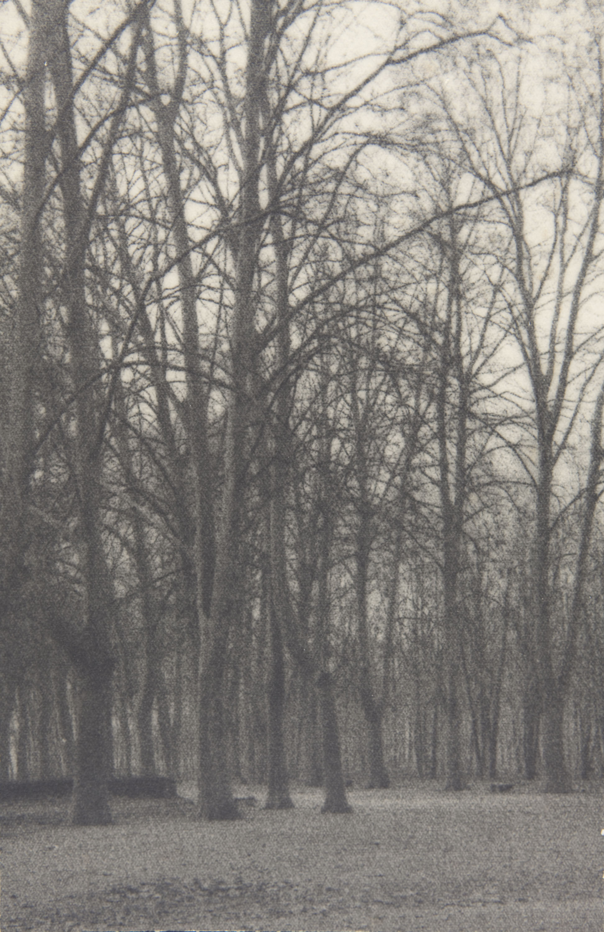 image for: Claudi Carbonell - Sense títol - No datat