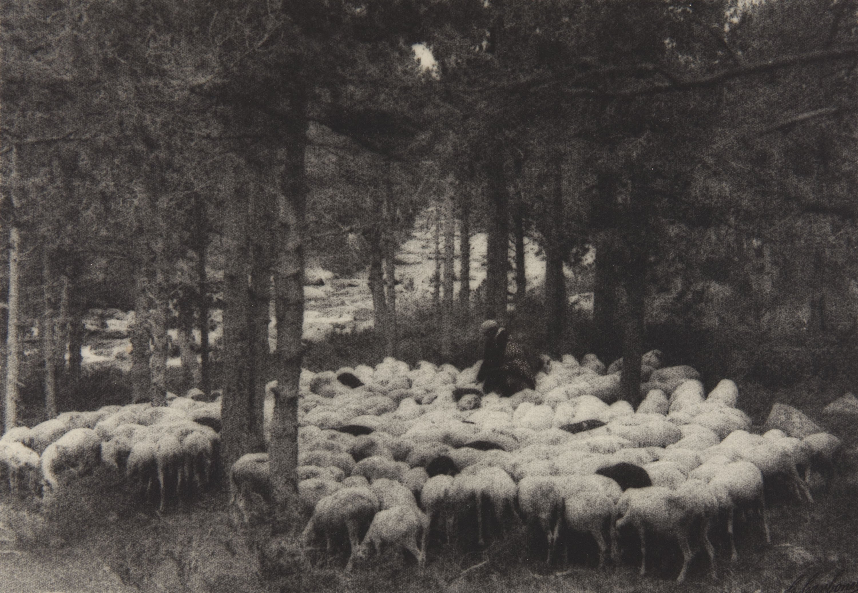 image for: Claudi Carbonell - Sense títol - 1926
