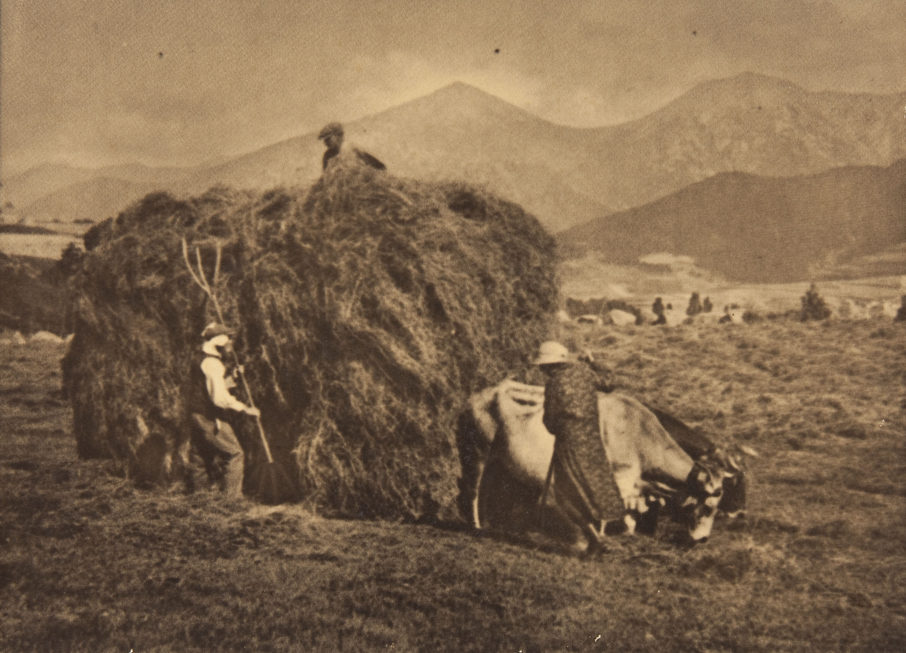 image for: Claudi Carbonell - Sense títol - No datat