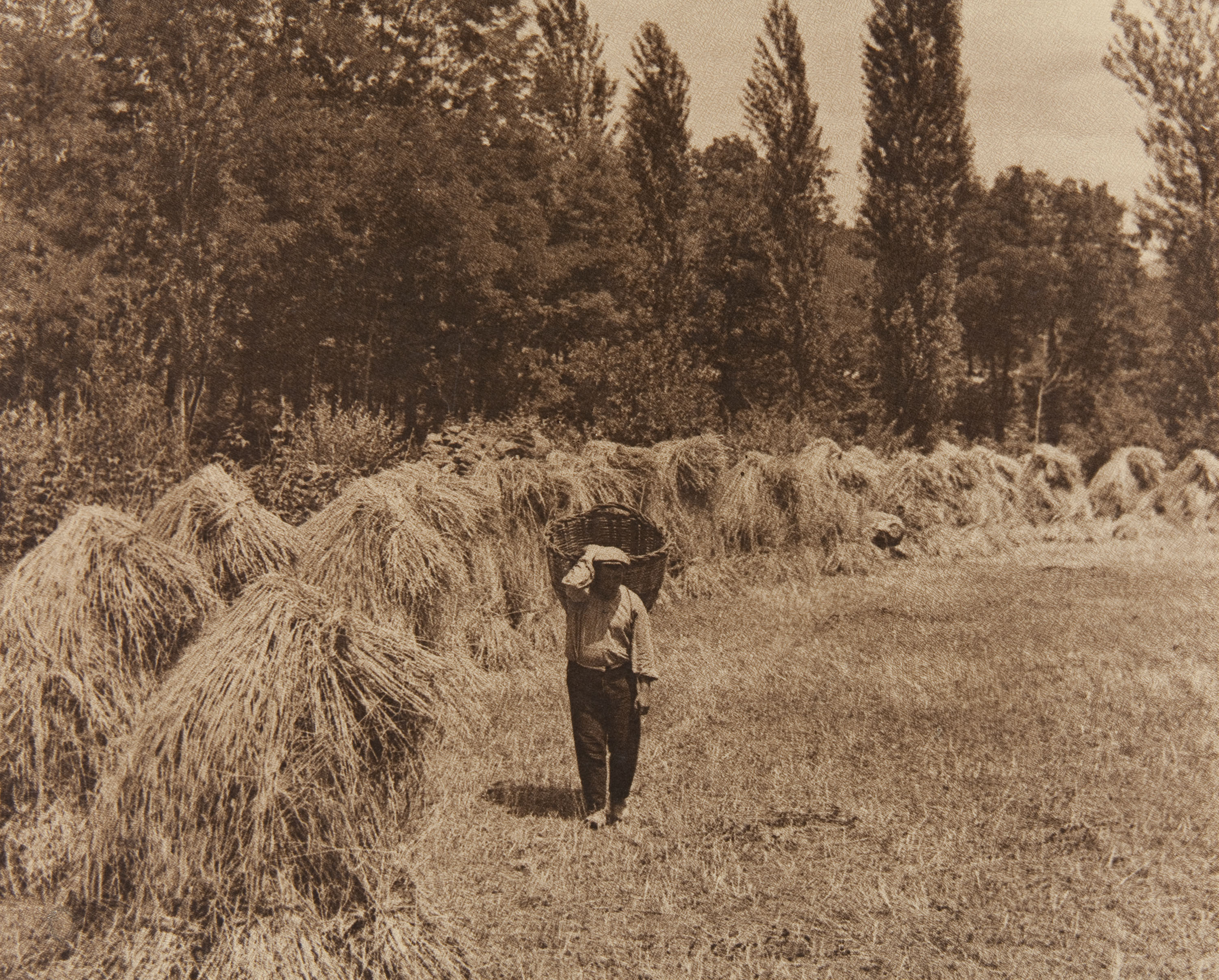 image for: Claudi Carbonell - Sense títol - No datat