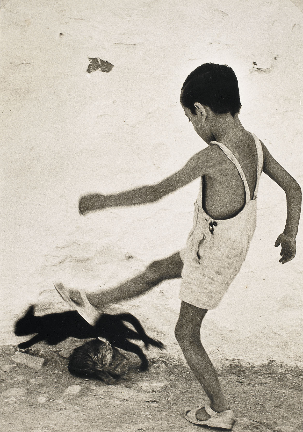 image for: Oriol Maspons - Ibiza&#039;s boy (Nen d&#039;Eivissa) - 1954