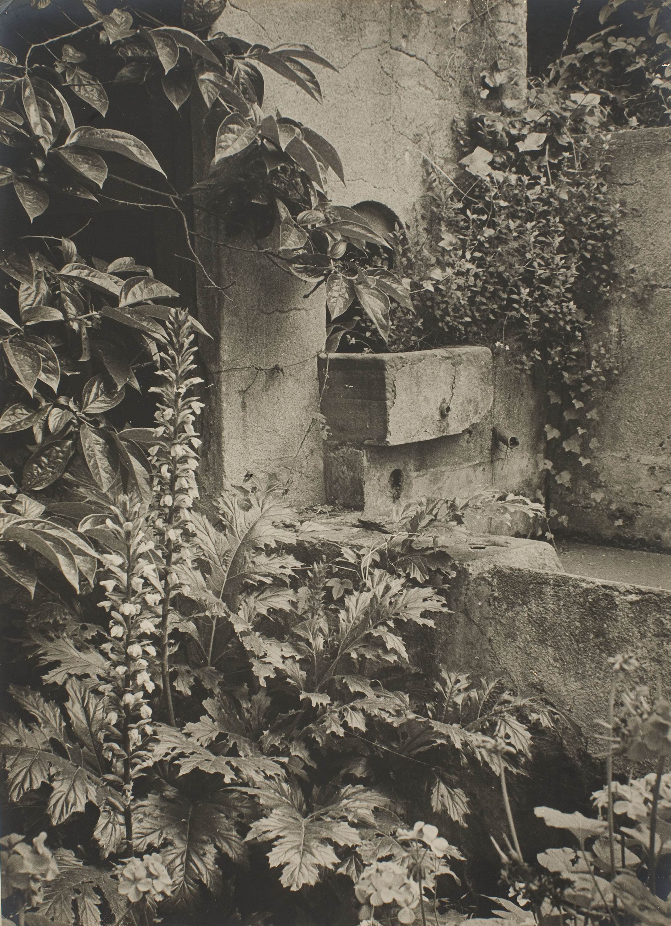 image for: Otho Lloyd - Sense títol - No datat