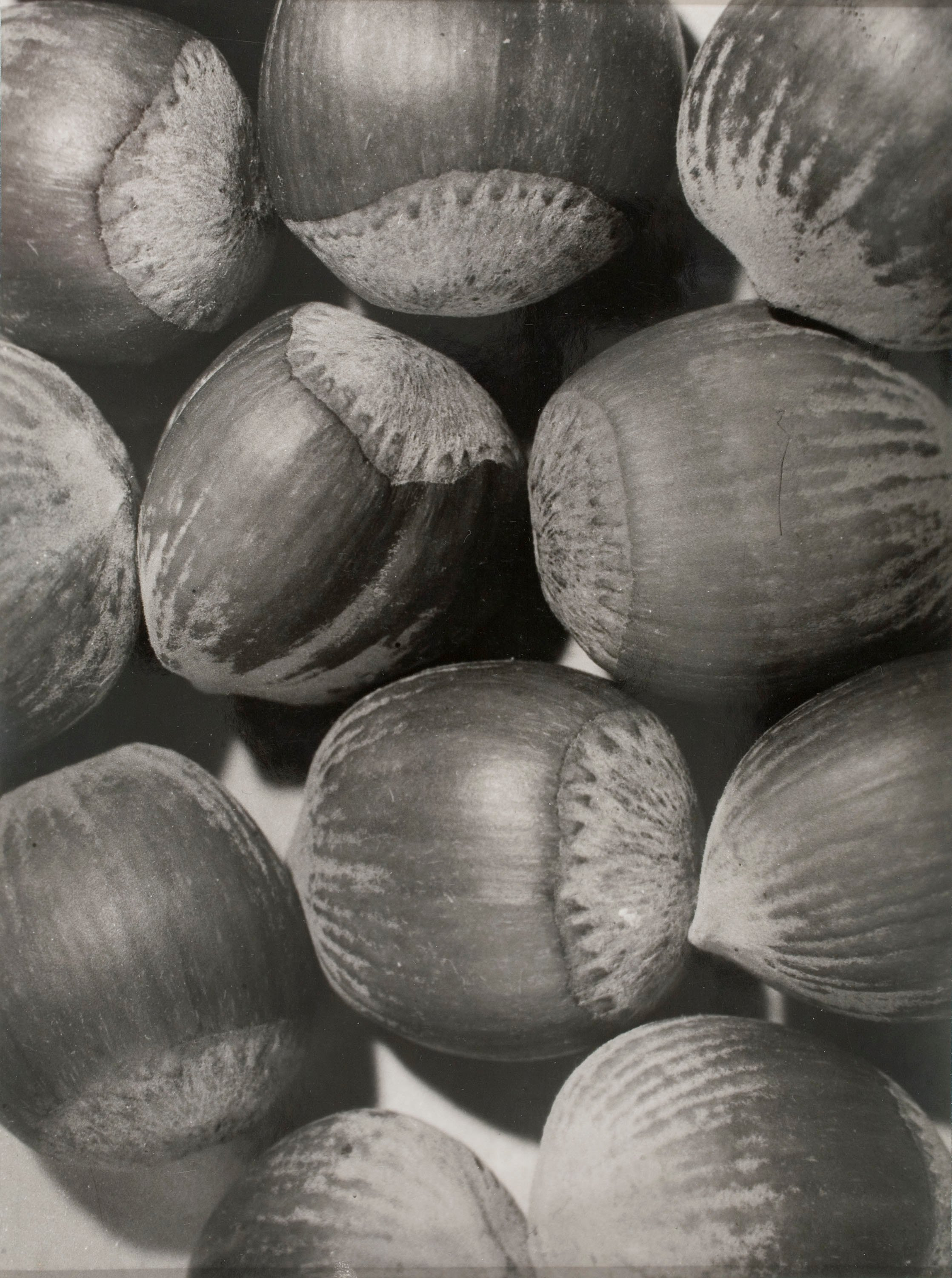 image for: Emili Godes - Avellanes - Cap a 1930