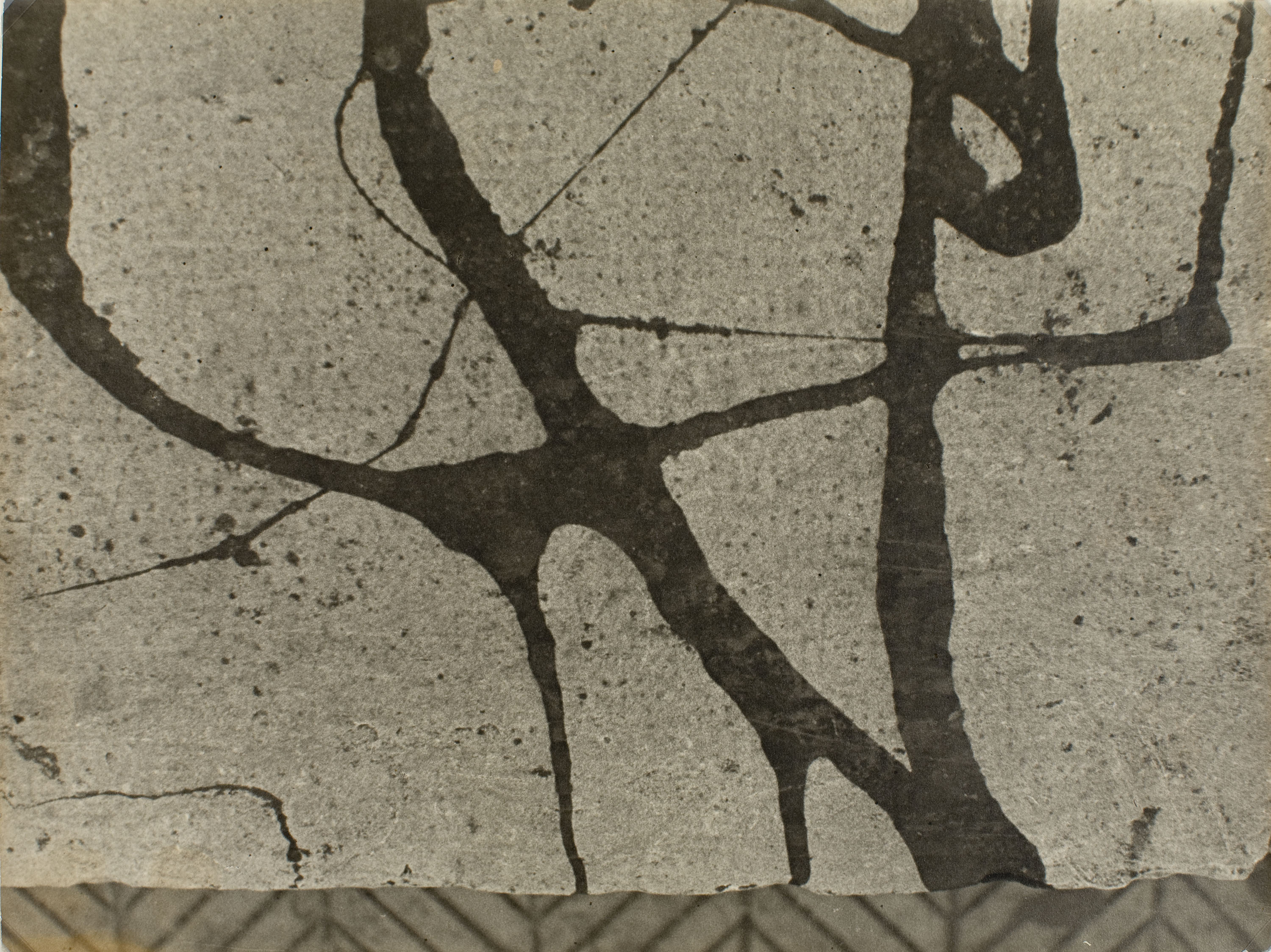 image for: Leopoldo Pomés - Grafisme - 1957