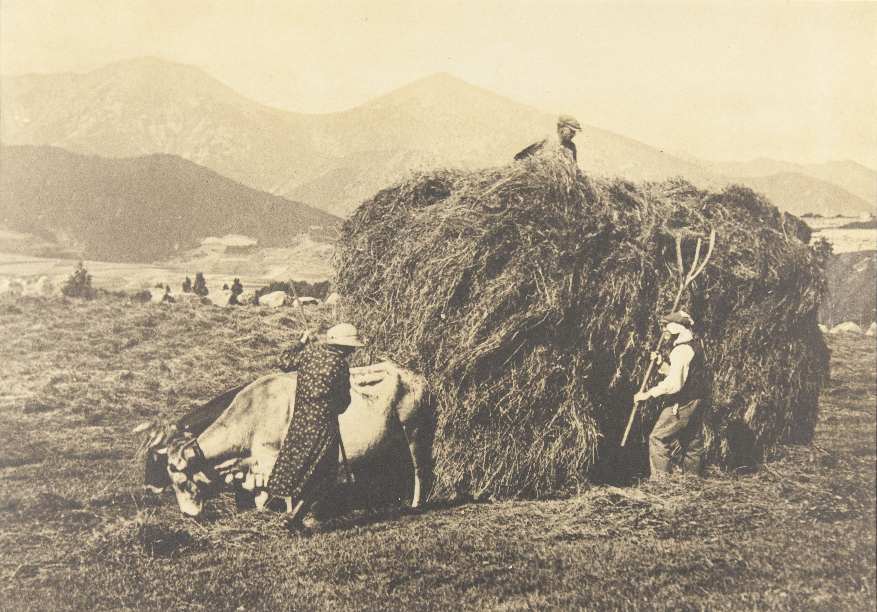 image for: Claudi Carbonell - Sense títol - 1931