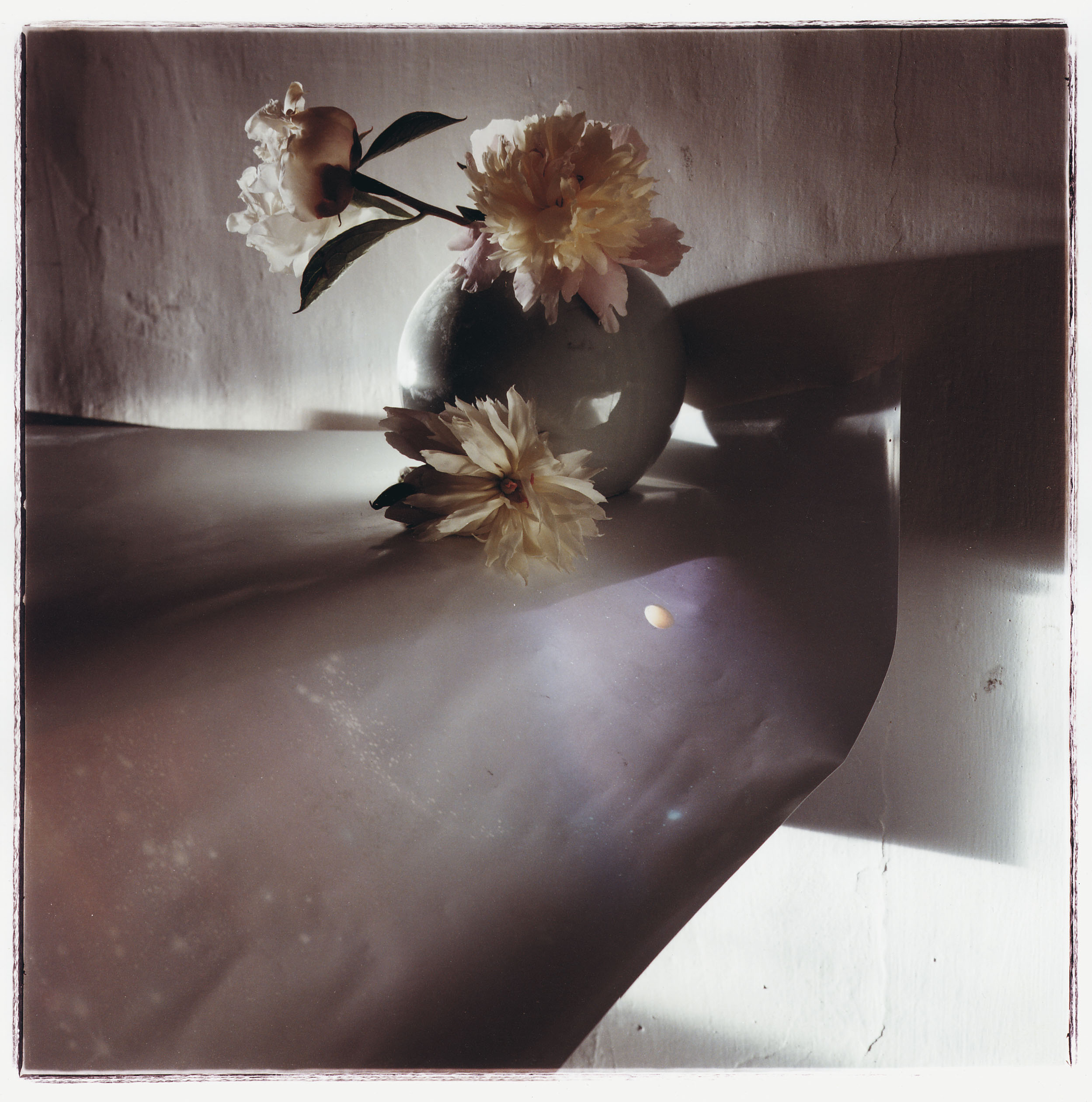 image for: Toni Catany - Natura morta, 136 - 1987