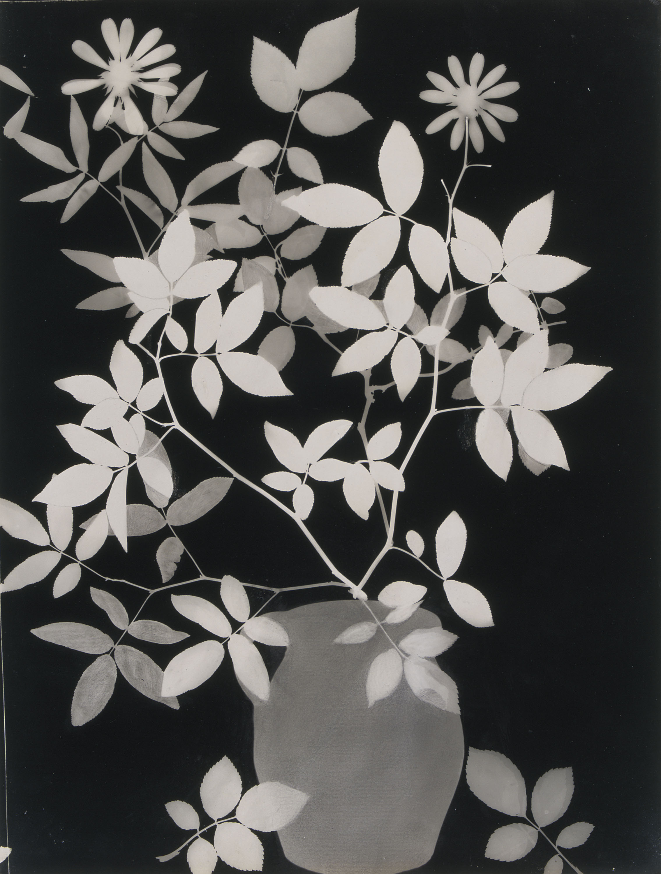 image for: Emili Godes - Sense títol - Cap a 1930