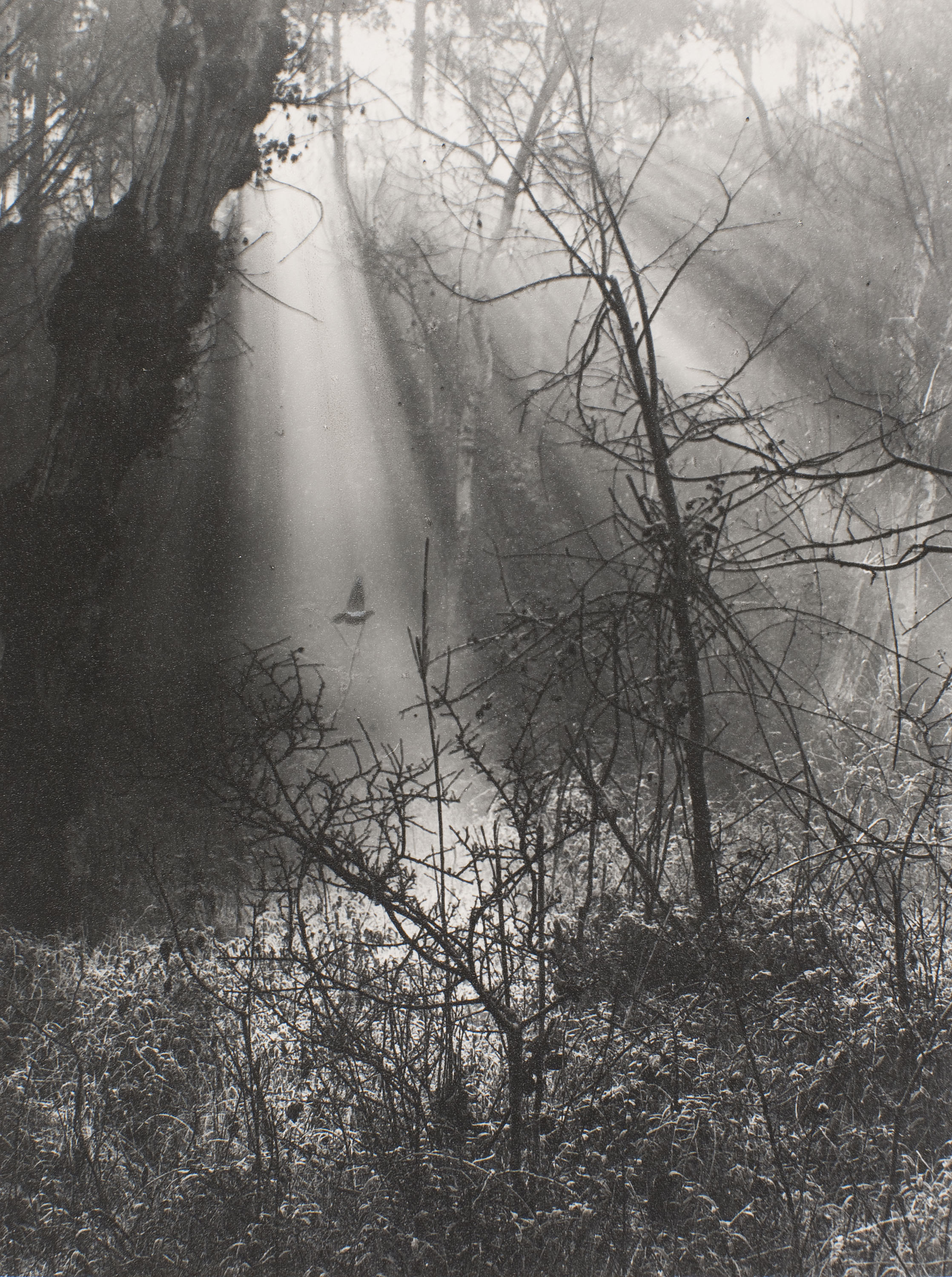 image for: Antoni Arissa - Sense títol - Cap a 1922-1928