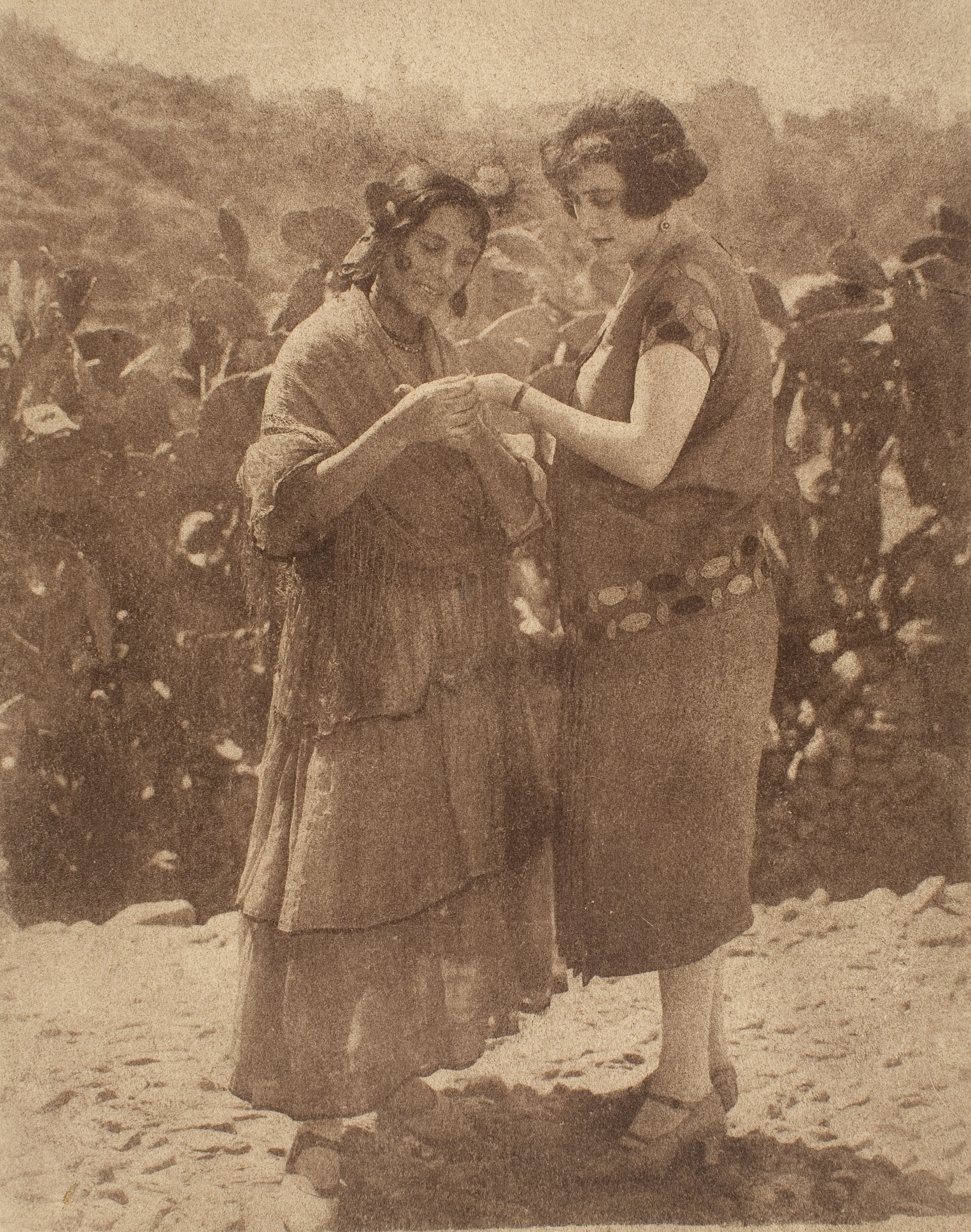 image for: Antoni Arissa - Sense títol - No datat