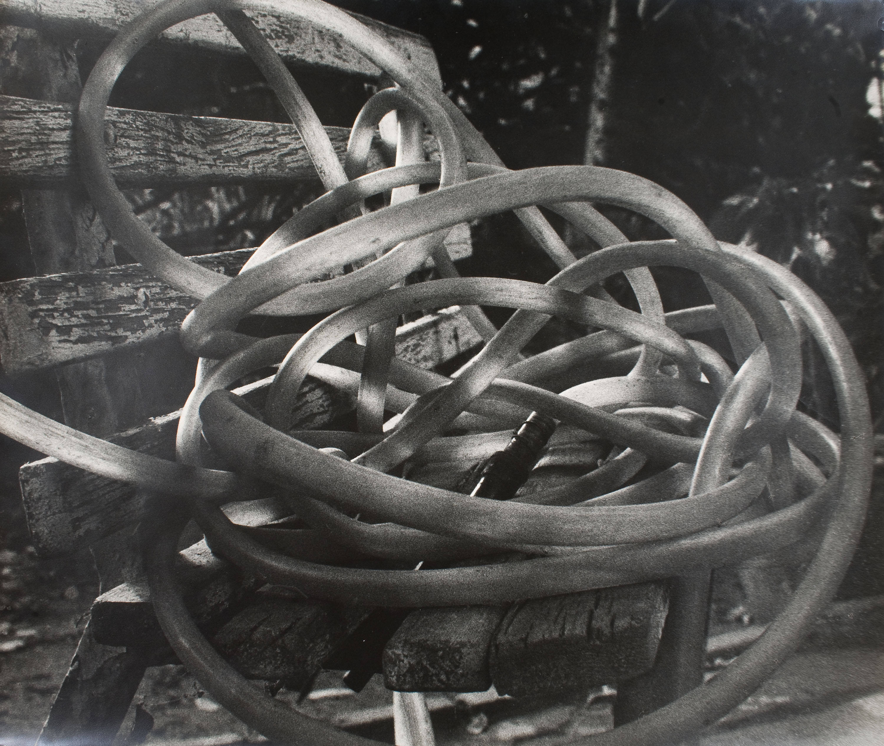 image for: Antoni Arissa - Banc i mànega - Cao a 1930-1936