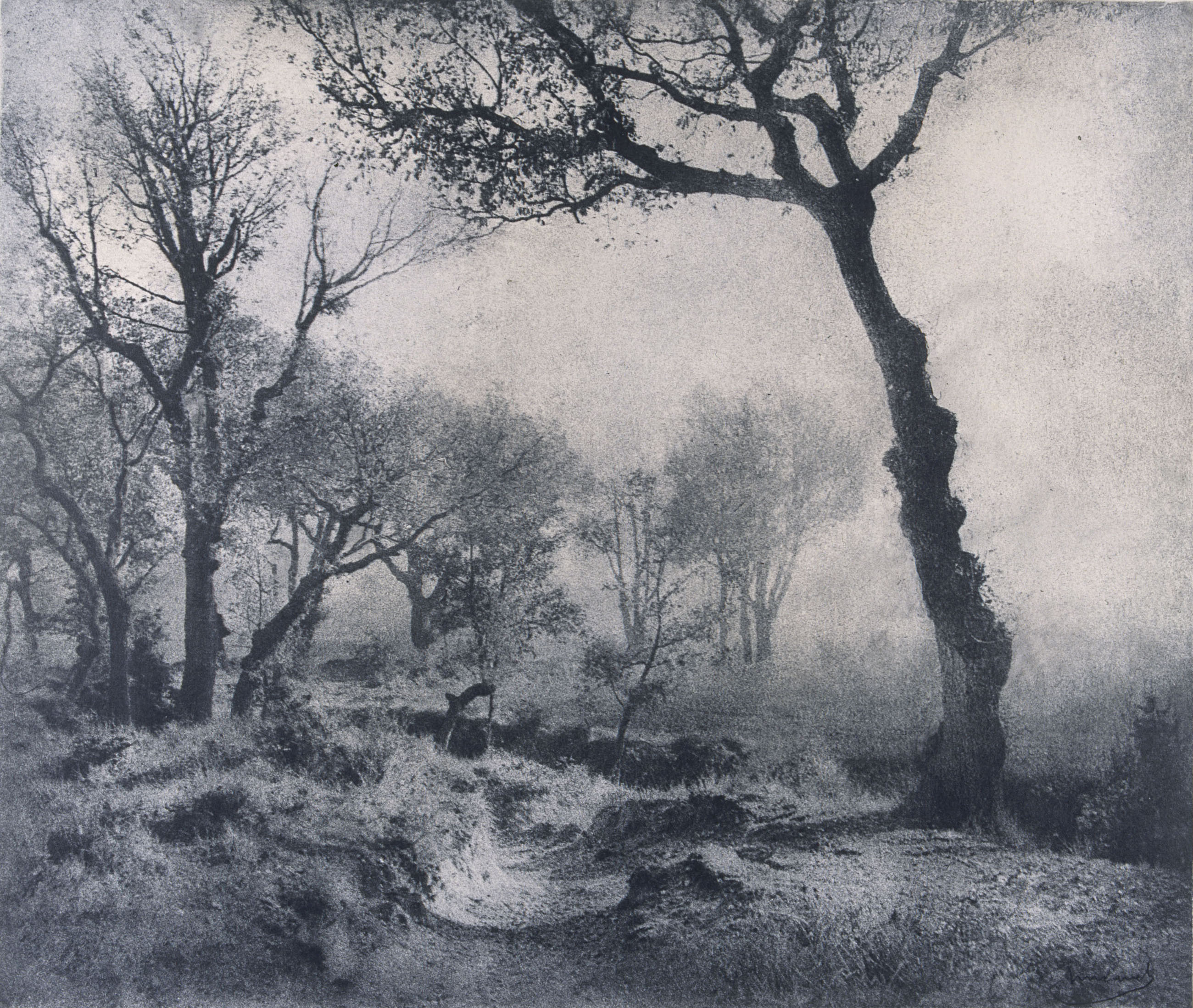 image for: Josep Maria Casals i Ariet - Paisatge - No datat