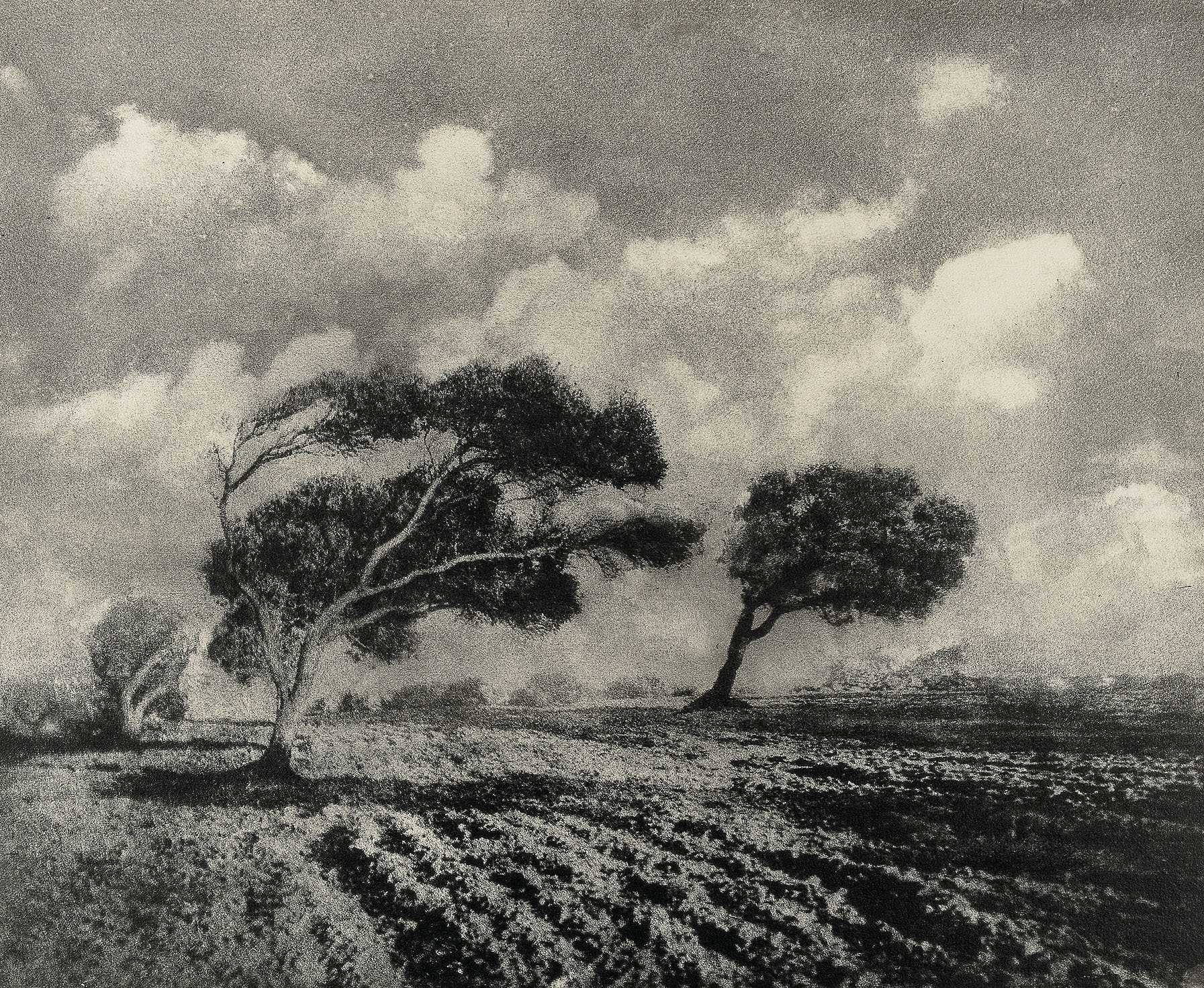 image for: Josep Maria Casals i Ariet - Paisatge - No datat